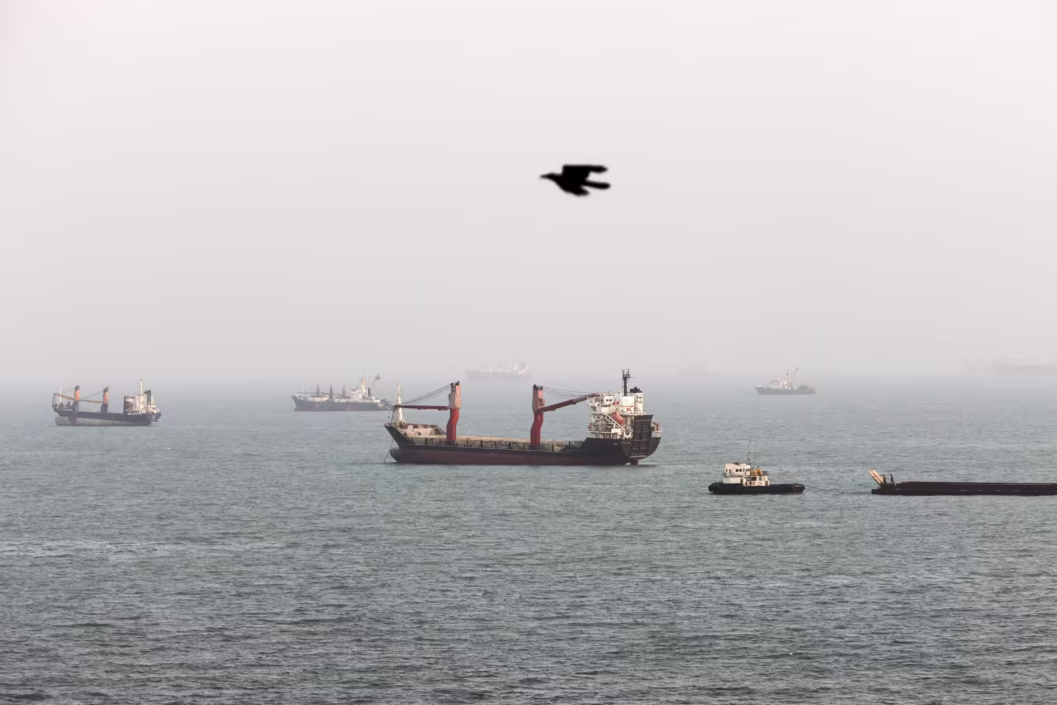 Numerous commercial vessels float under foggy skies as a black bird flys by in the foreground.