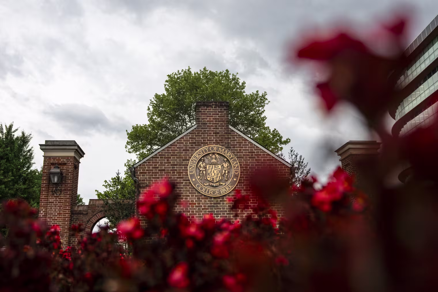 University of Maryland