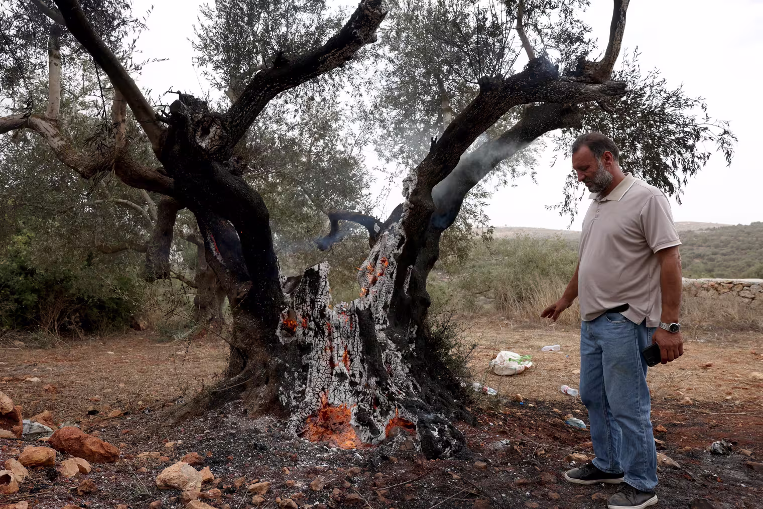 Image: A Palestinian man stands next to a smouldering olive tree.
