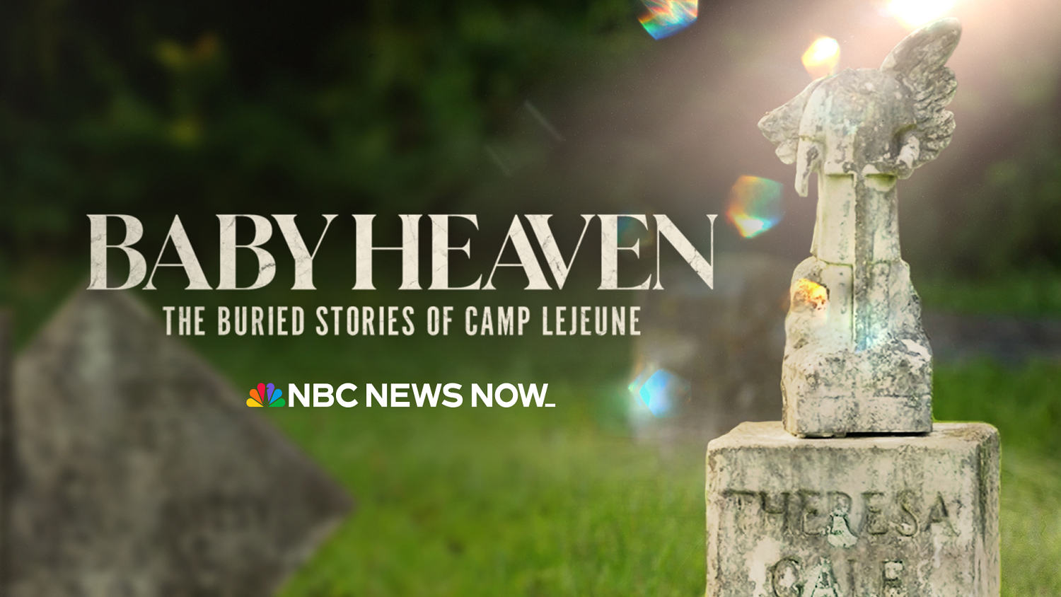 'Baby Heaven: The Buried Stories of Camp Lejeune'