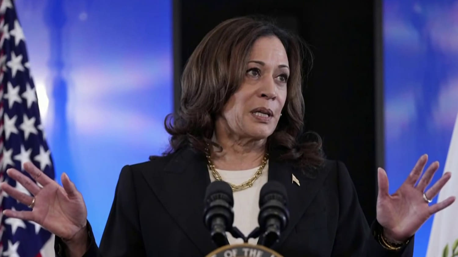 Biden campaign polls Harris’ viability against Trump amid calls for president to withdraw