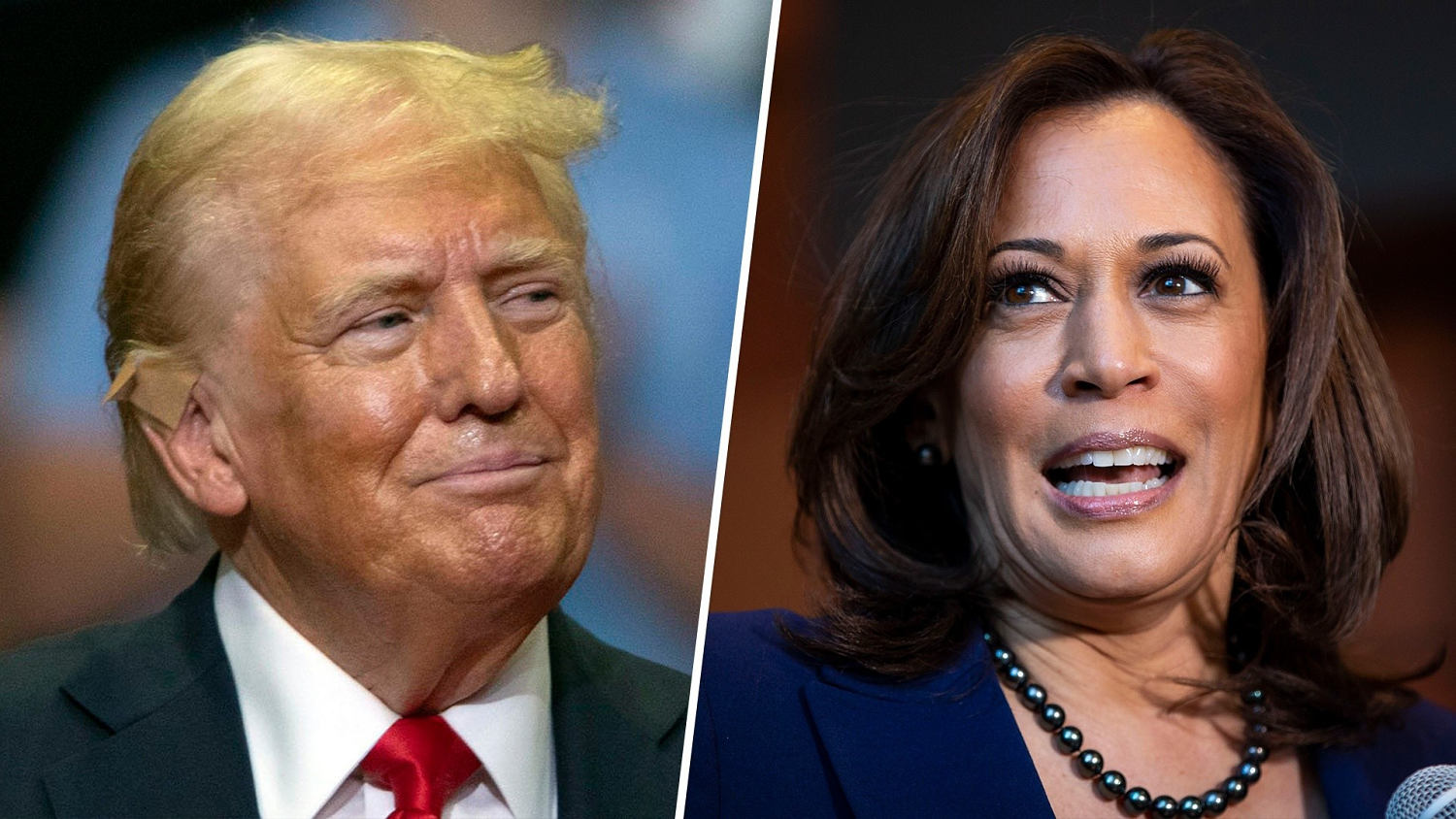 How does Kamala Harris stack up against Trump in the polls?