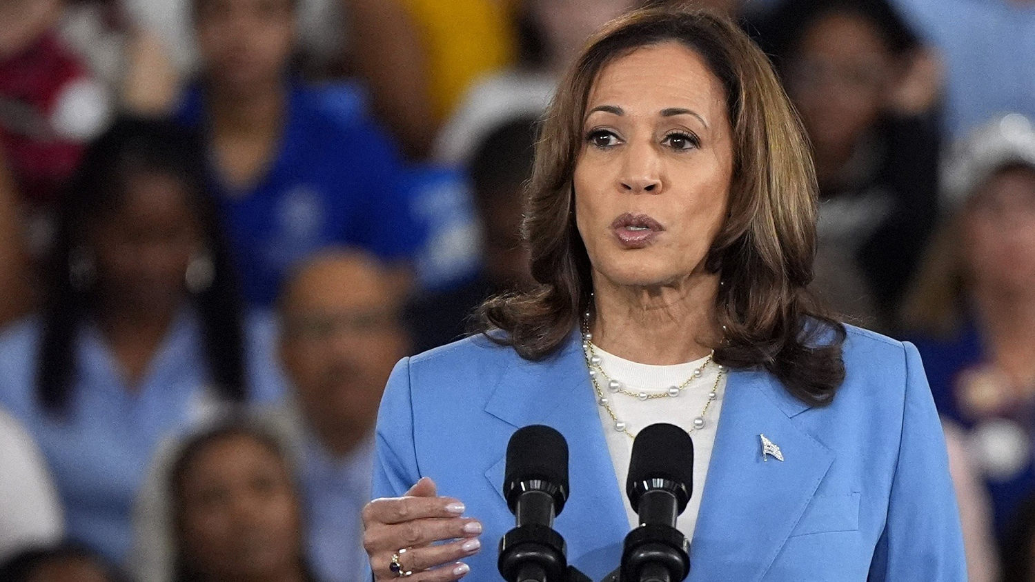 Kamala Harris unveils her economic plan at campaign event