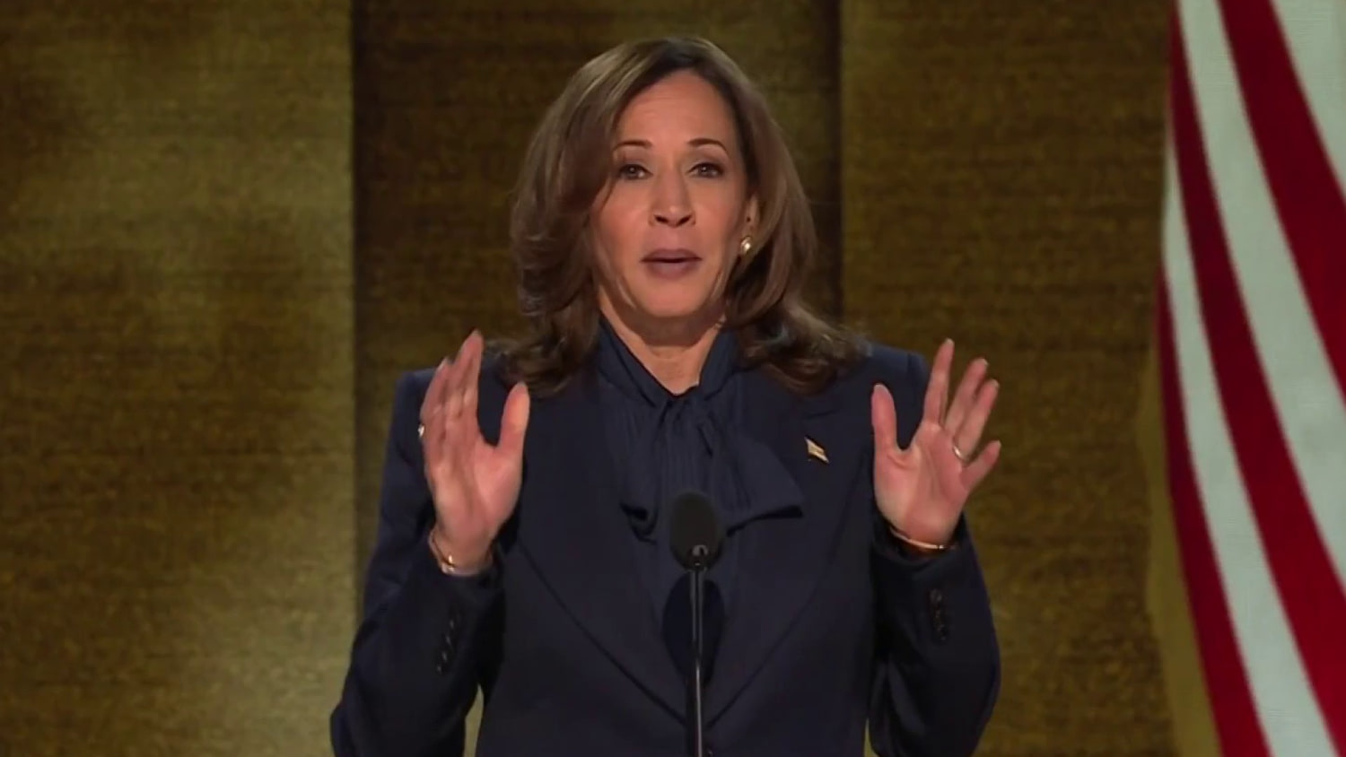 Harris’ stance on Gaza is ‘alienating the majority of Democrats,’ says ‘Uncommitted’ co-founder