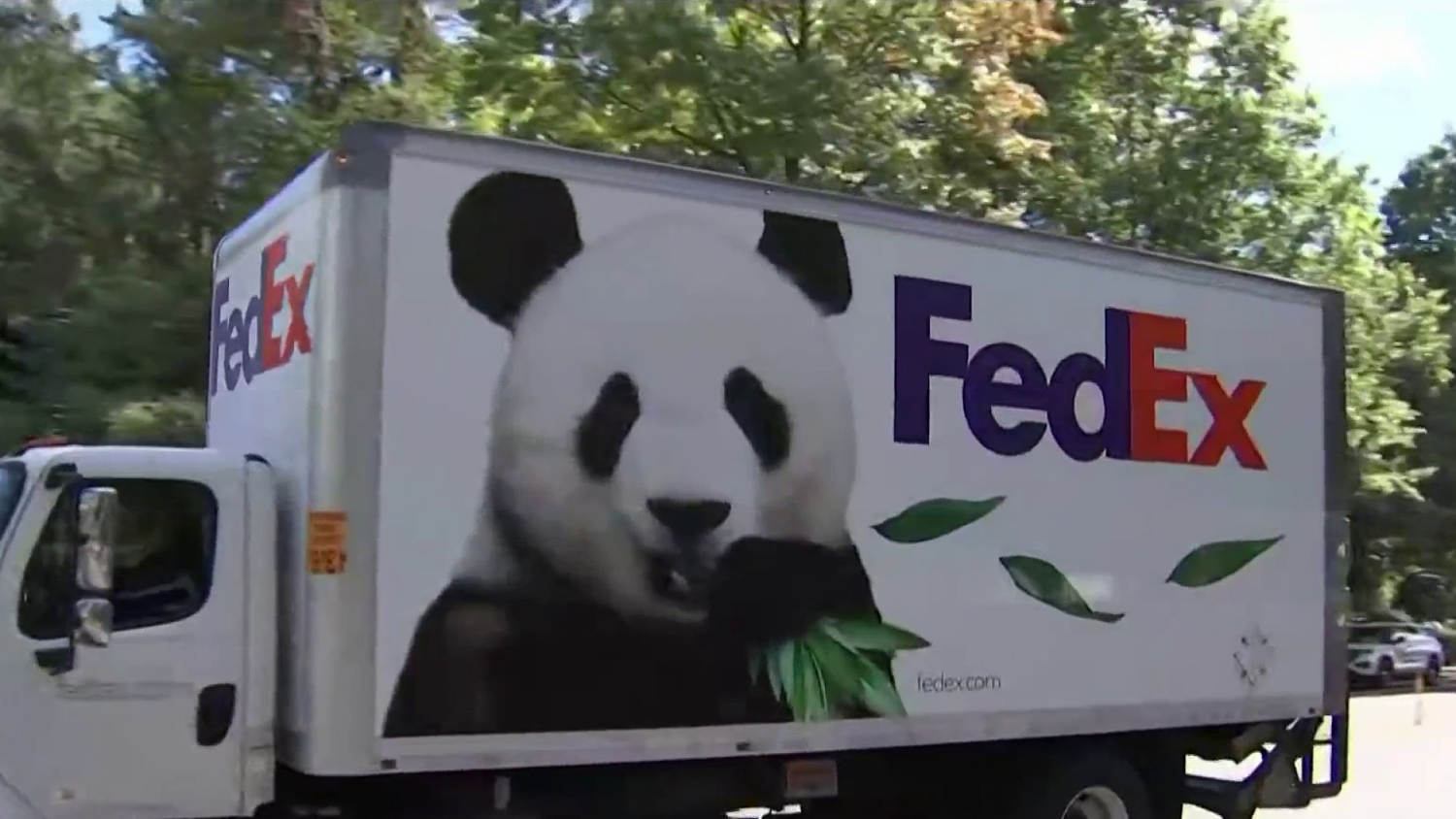 Two giant pandas from China arrive at the National Zoo