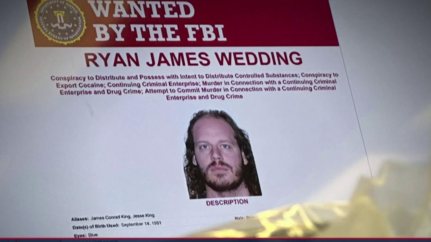 Fugitive Olympic Snowboarder