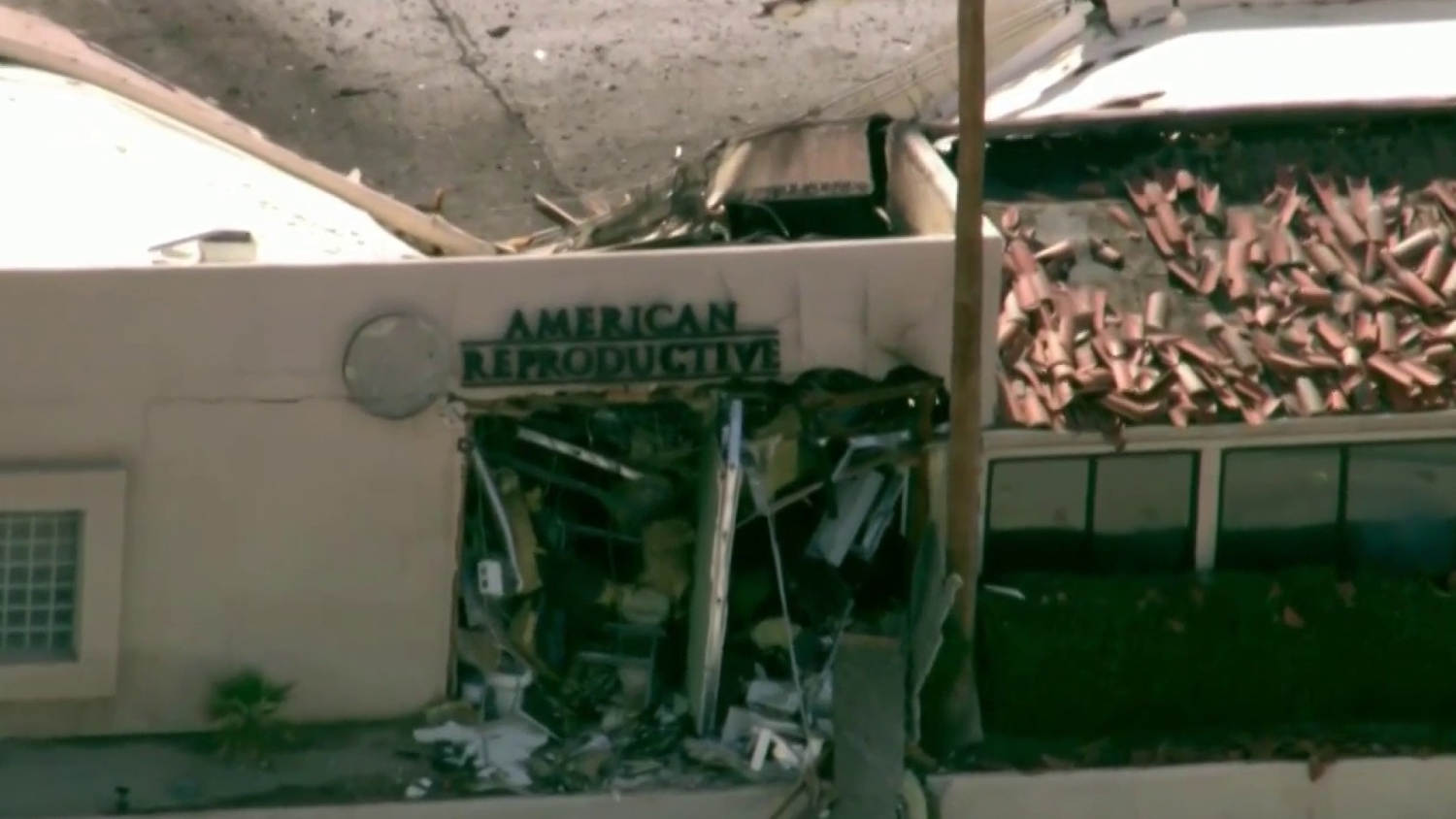 Car bombing suspect appears to be motivated by anti-natalist ideology, officials say