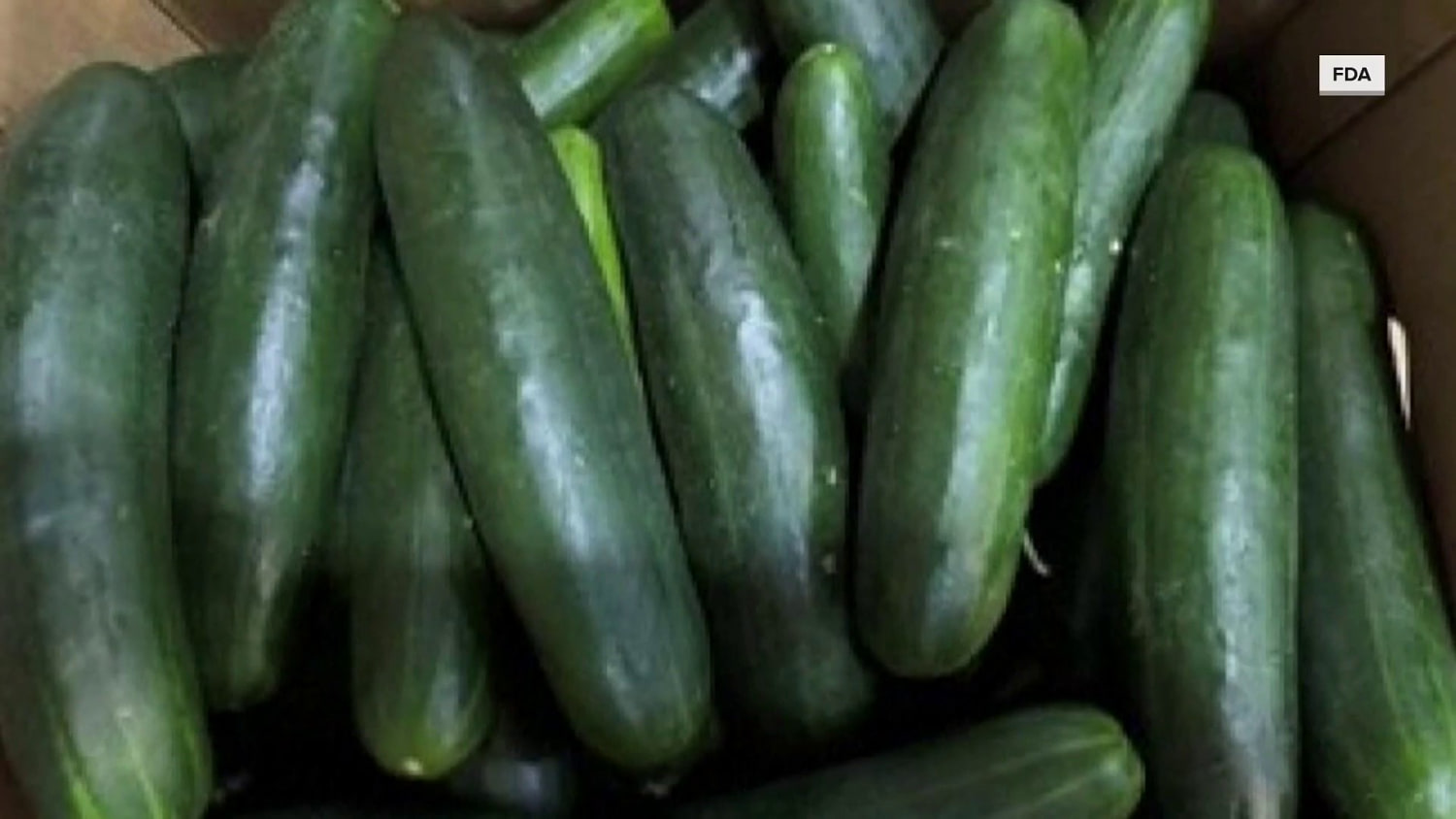 FDA recalls cucumbers over multistate salmonella outbreak