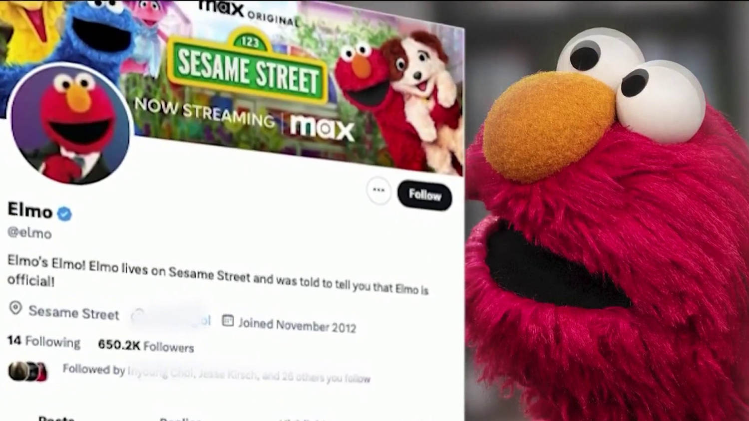 1752533779020_now_hallie_elmo_