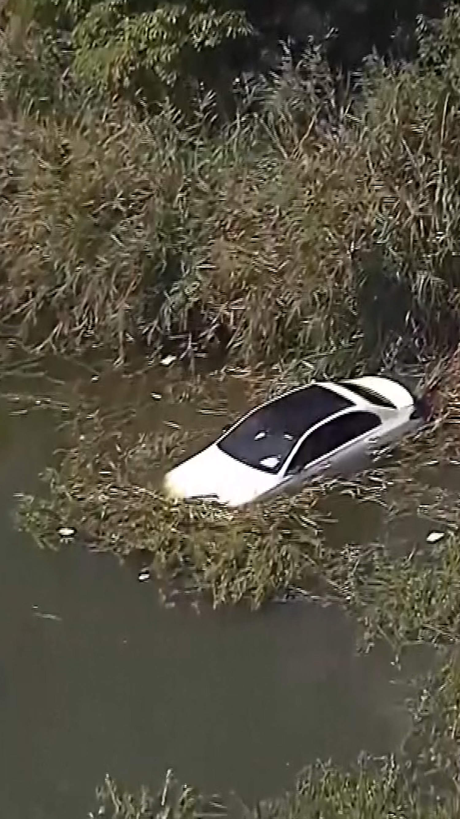 Texas nanny's driving lesson goes horribly wrong