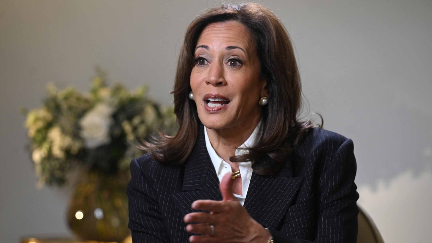 Kamala Harris Leaves Door Open to Presidential Run