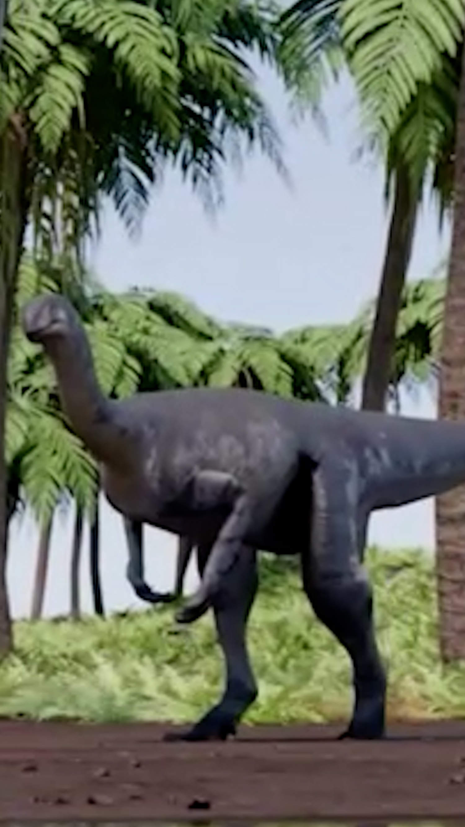 230-million-year-old dinosaur fossil found in Argentina