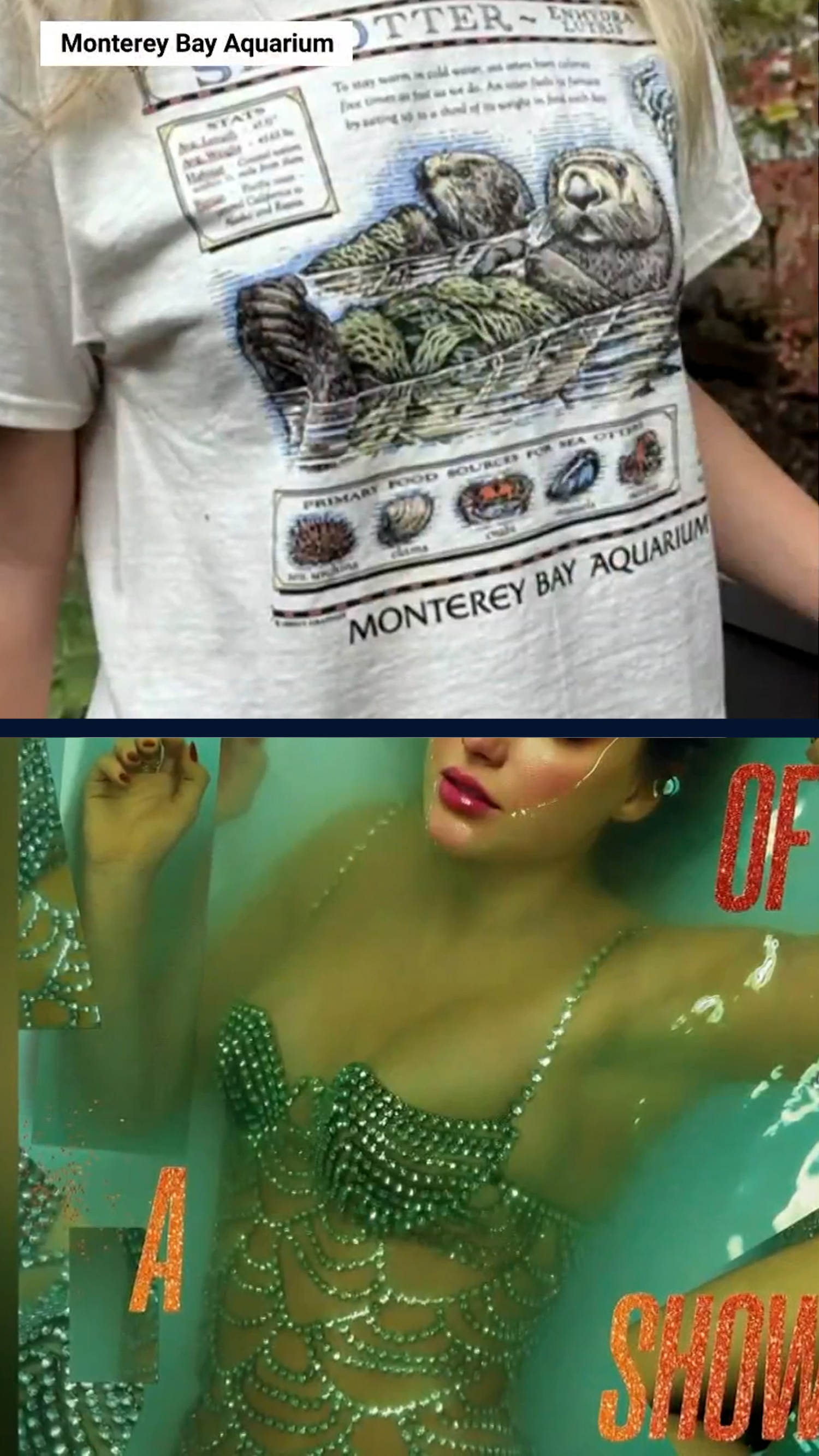 Swifties raise $2 million for Monterey Bay Aquarium