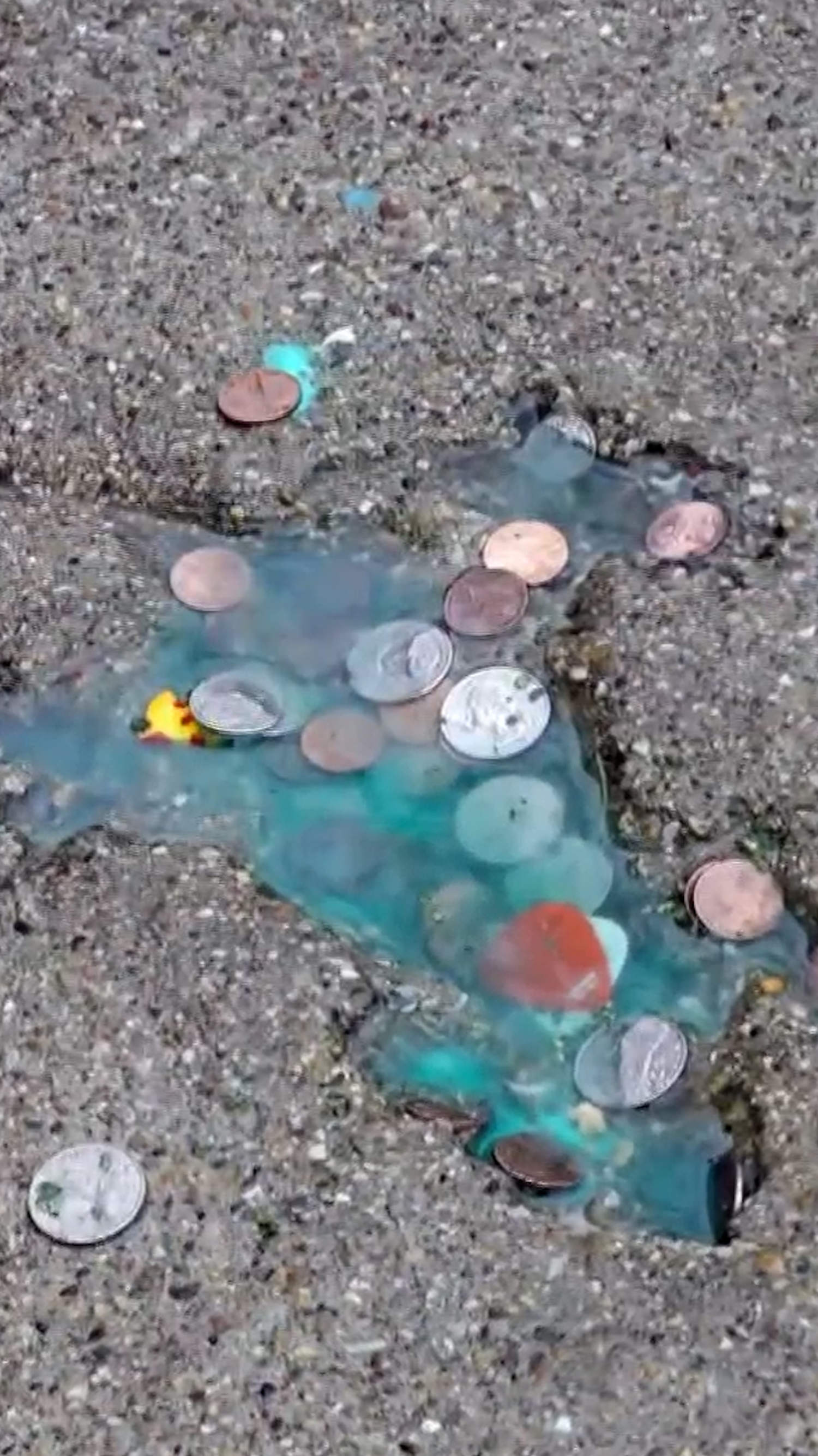 Rat-shaped hole in Chicago sidewalk not made by rat