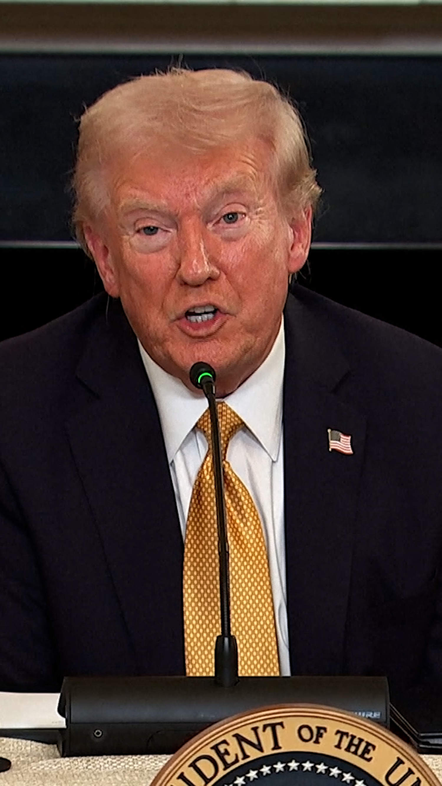 Trump ends trade talks with Canada over anti-tariff ad