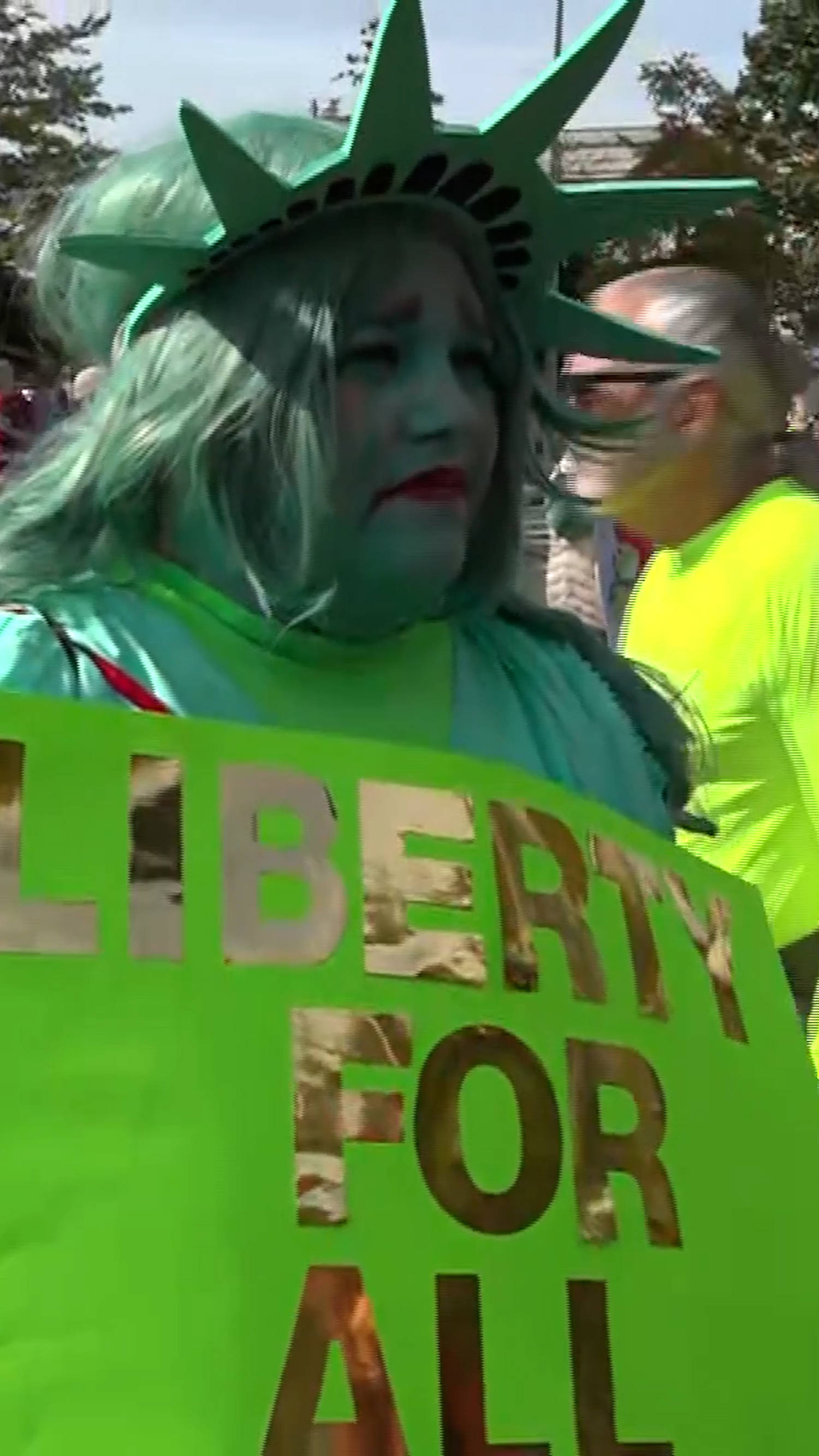 'No Kings' attendees in D.C. say why they're protesting