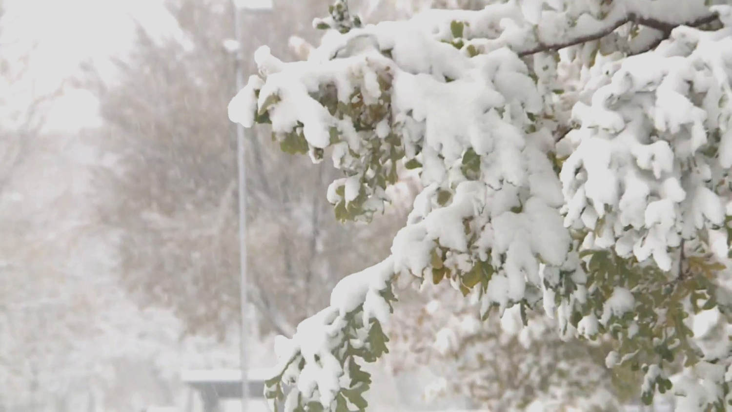 Early Winter Storm Brings Snow, Freezing Temps To Millions