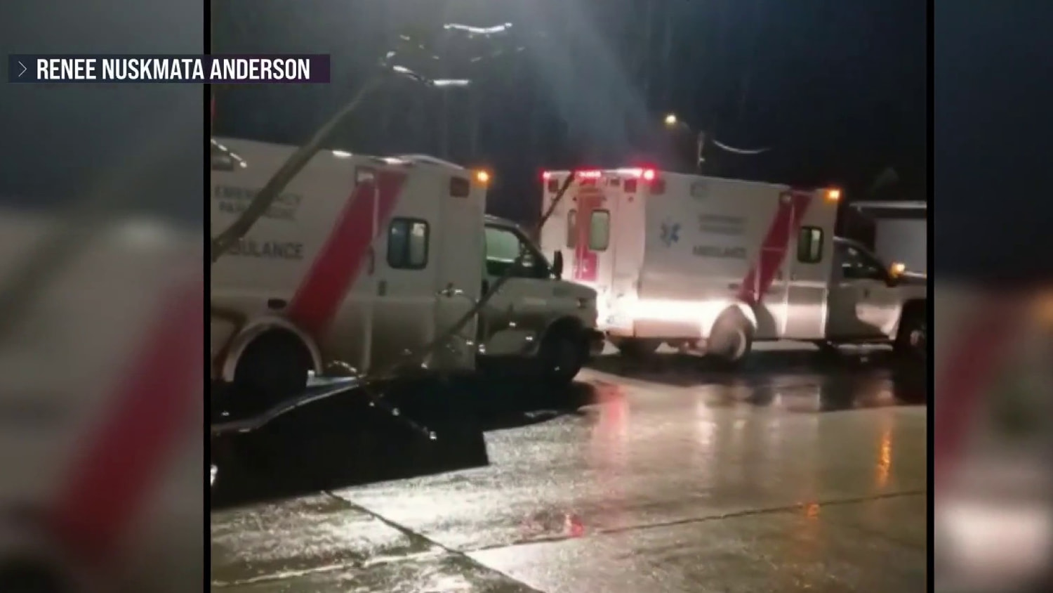 11 injured after grizzly bear attacks group of elementary school students