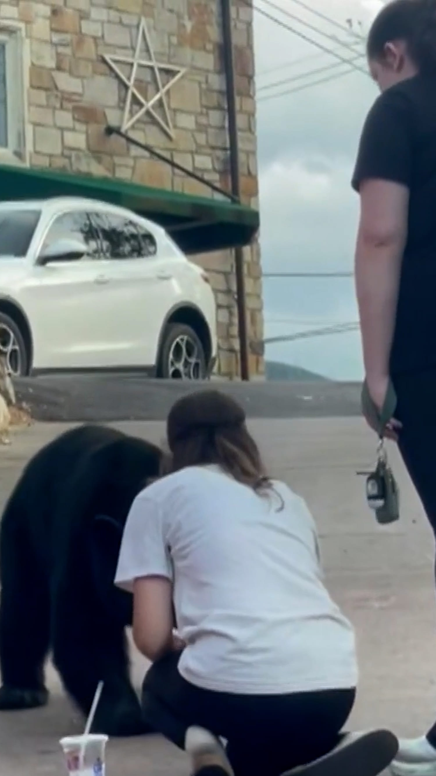 Officials warn people in Tenn. not to feed bears