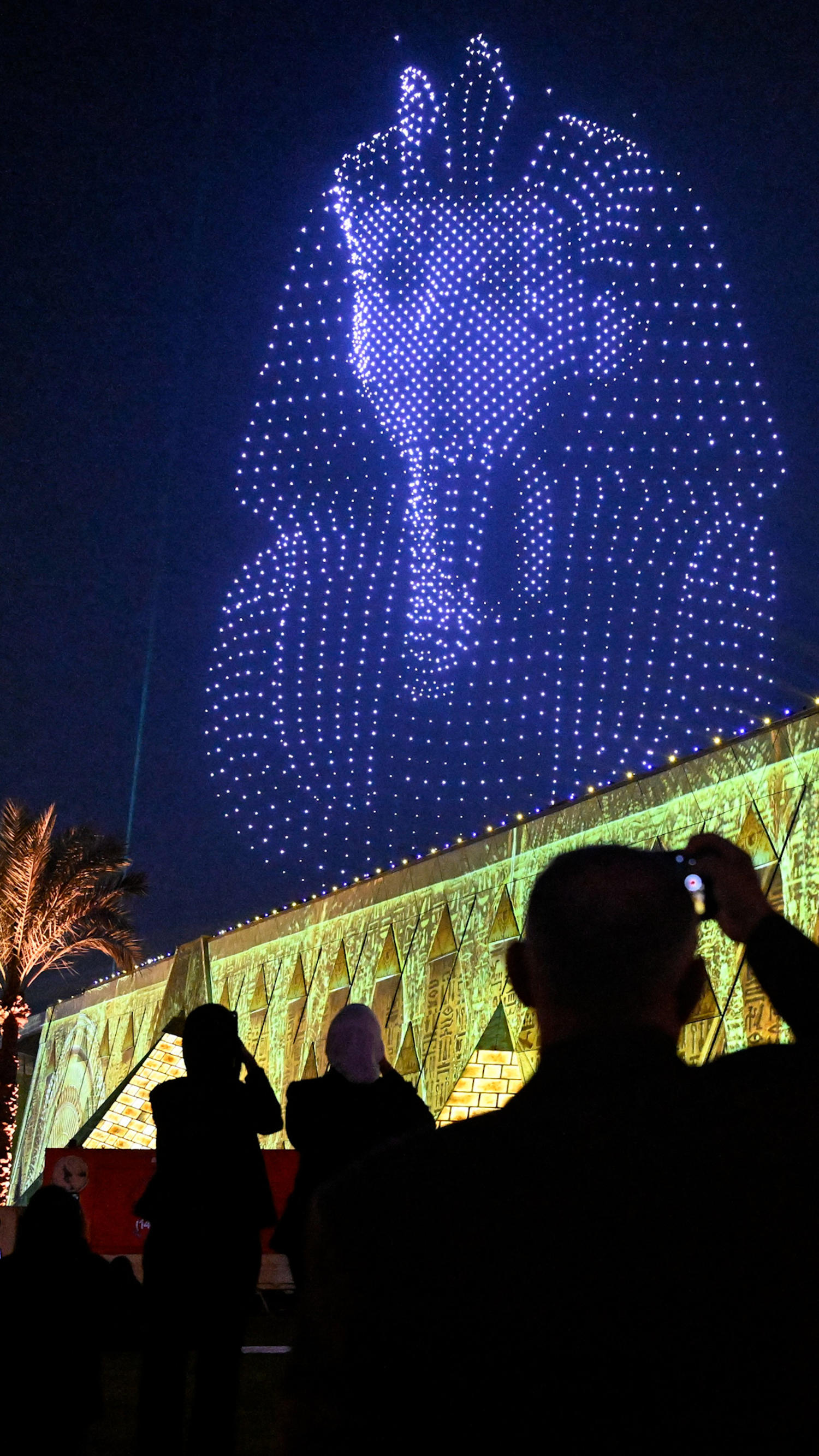 Egypt's Grand Museum opens with lavish ceremony