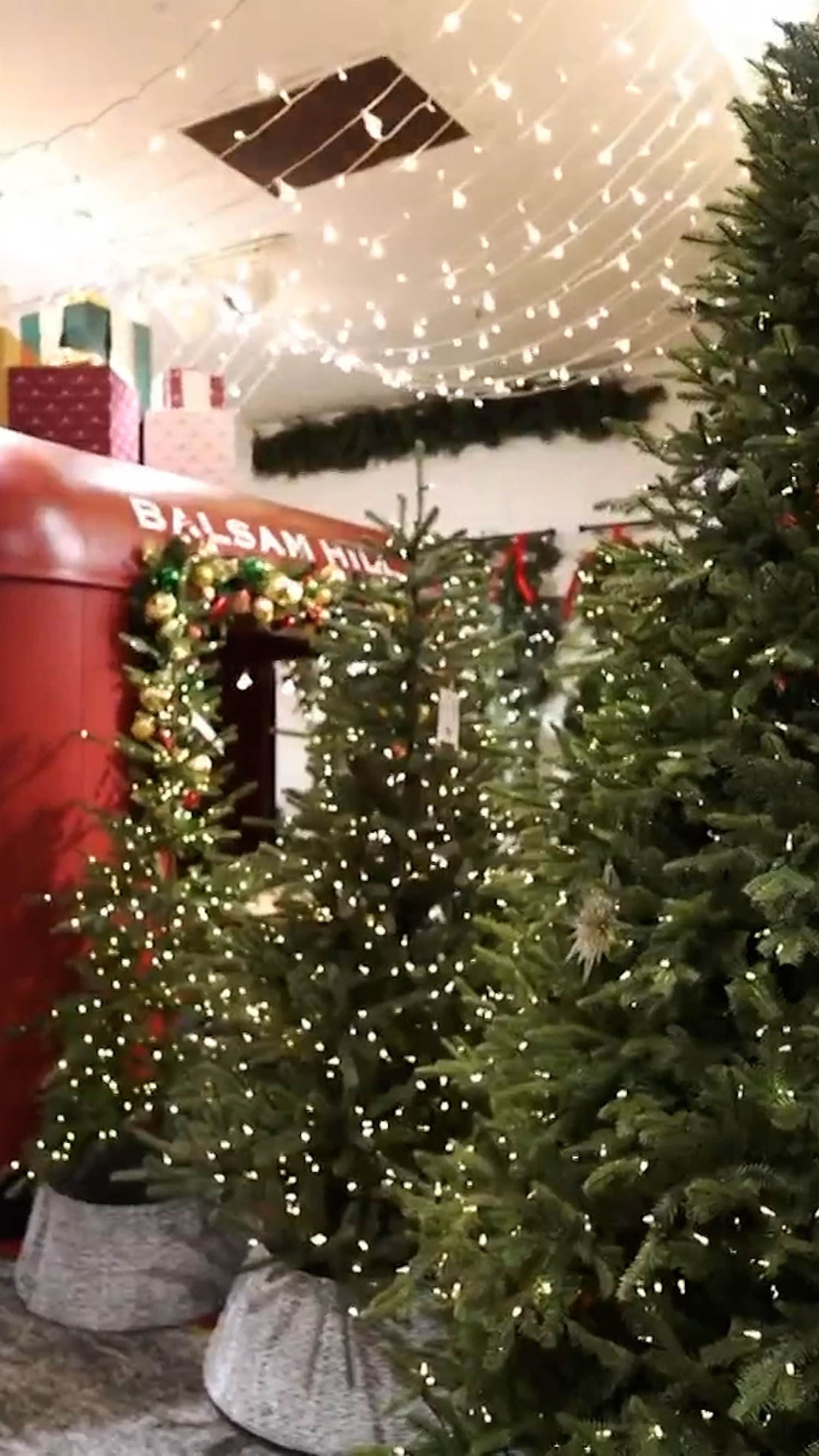 Tariffs could impact cost of artificial Christmas trees