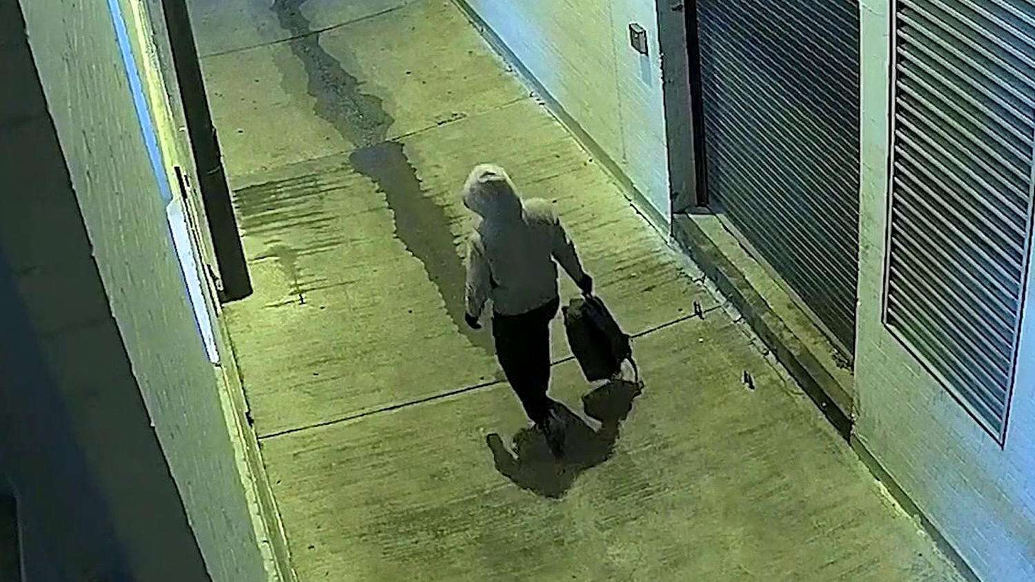 Suspect Confesses to Planting Bombs Near Capitol Before Jan. 6