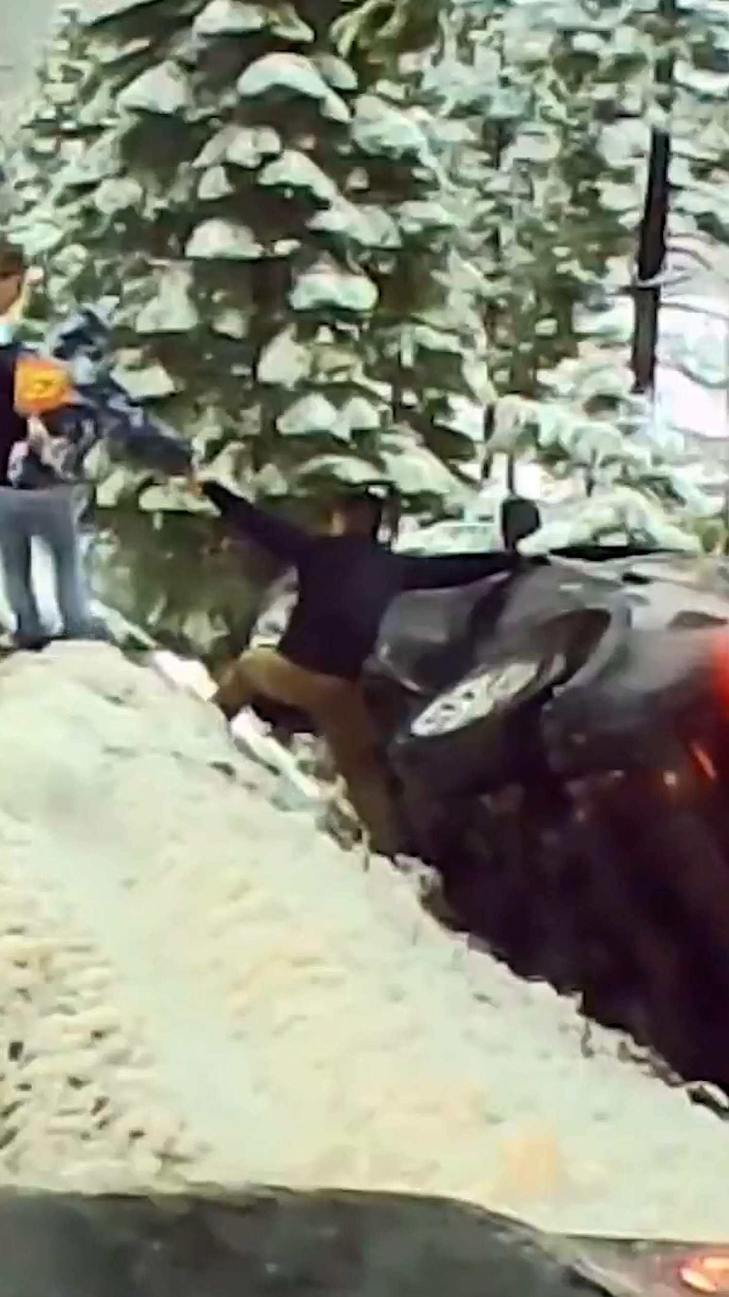 Good Samaritans rescue family from mountain road crash