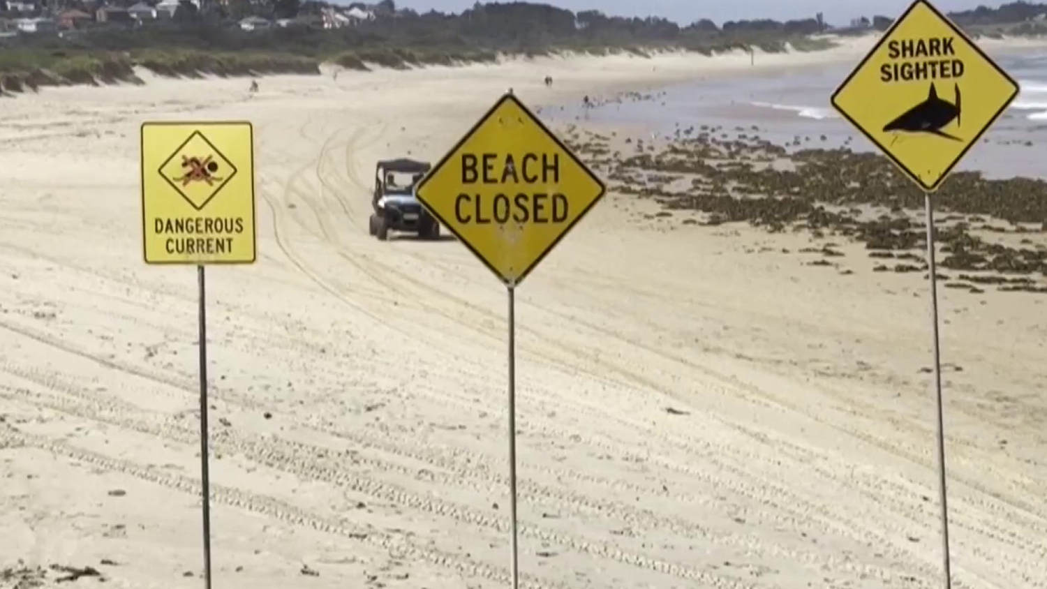 Dozens of Australian beaches close after four shark attacks in less than 48 hours