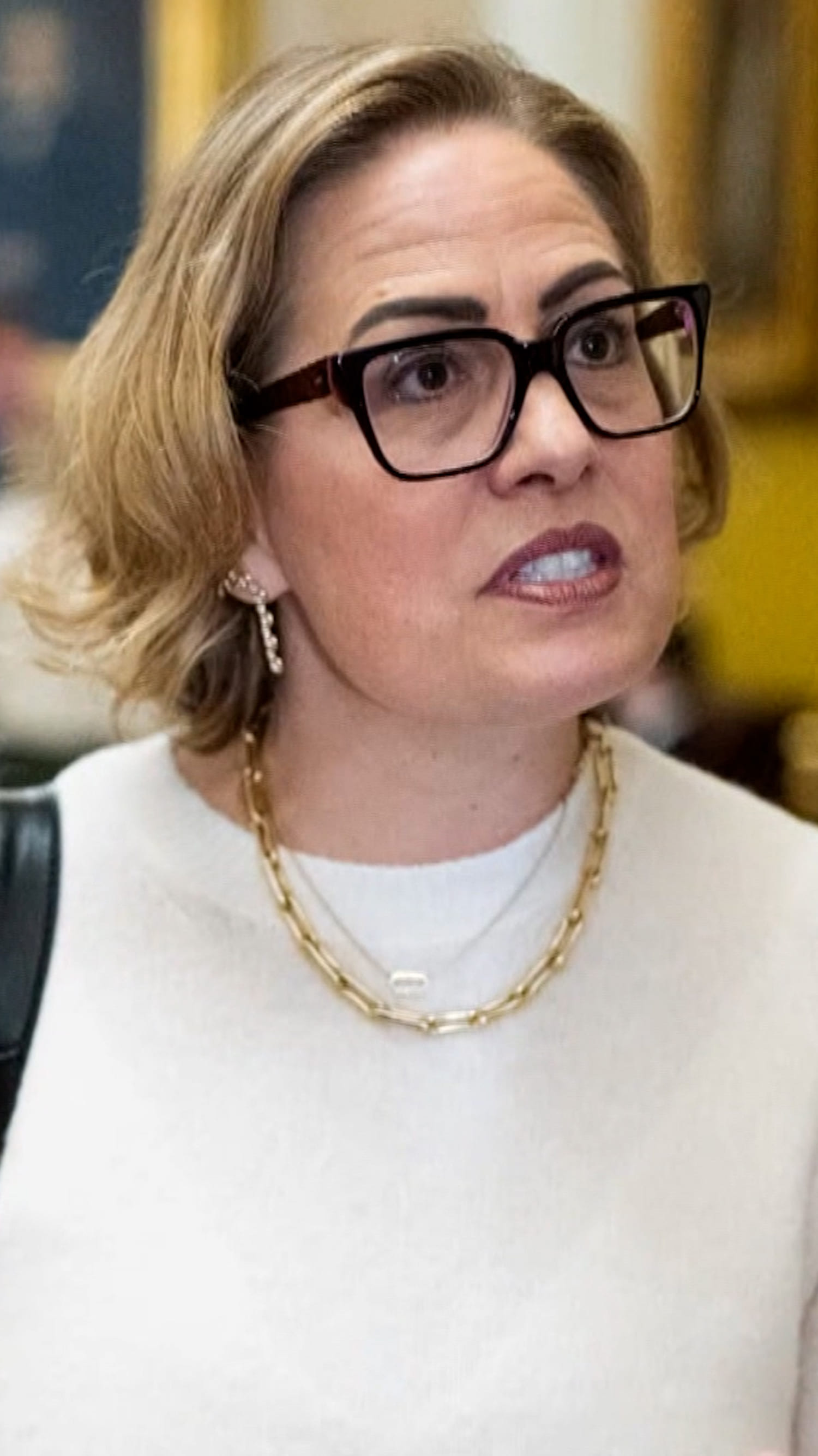 Former Arizona senator sued over alleged affair