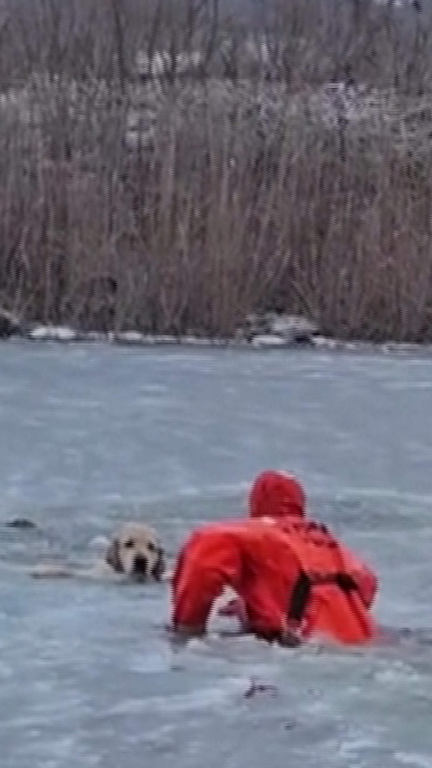 Firefighters rescue dog from frozen pond in Rhode Island