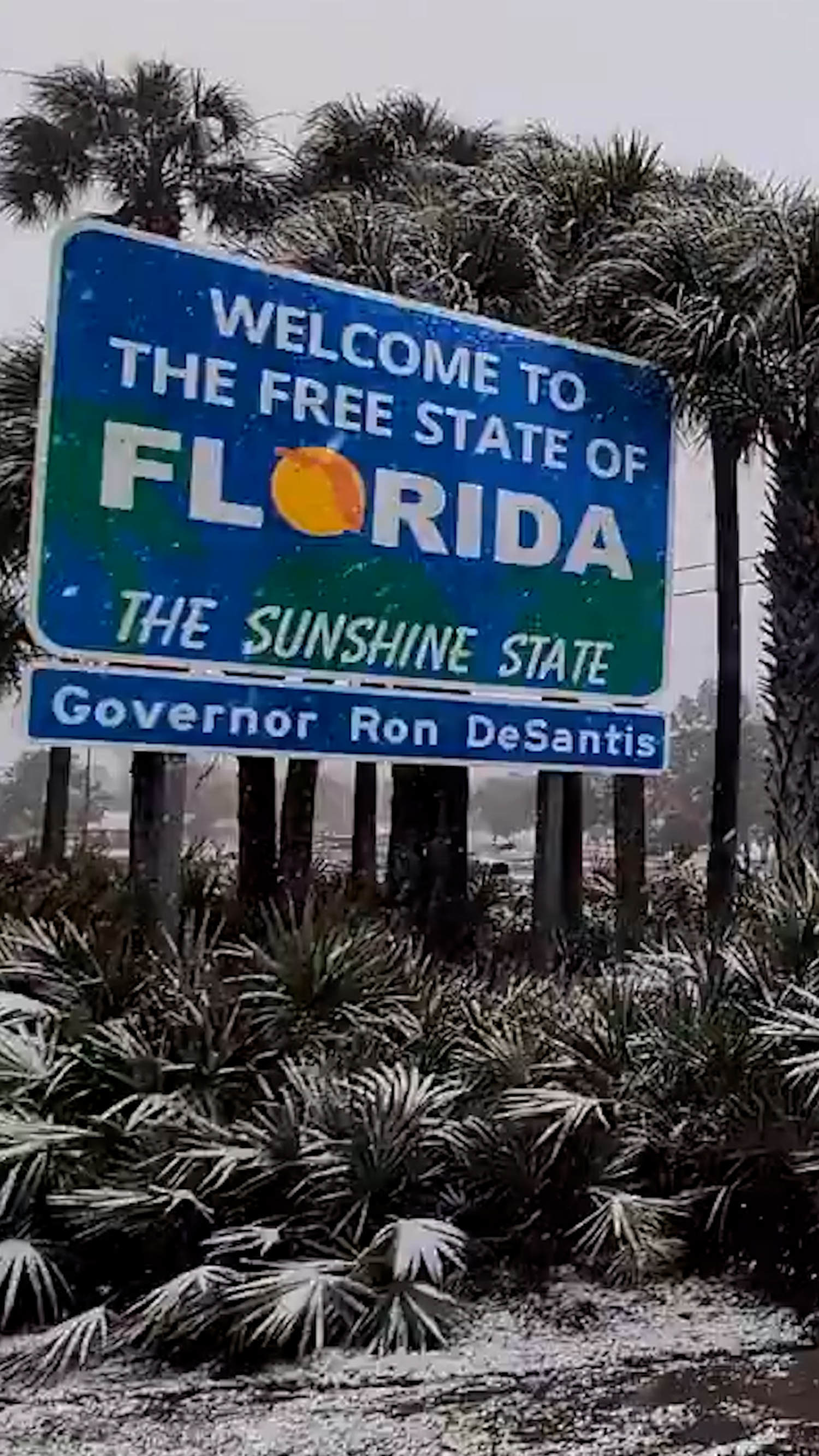 Video captures Florida snow during rare Southern storm
