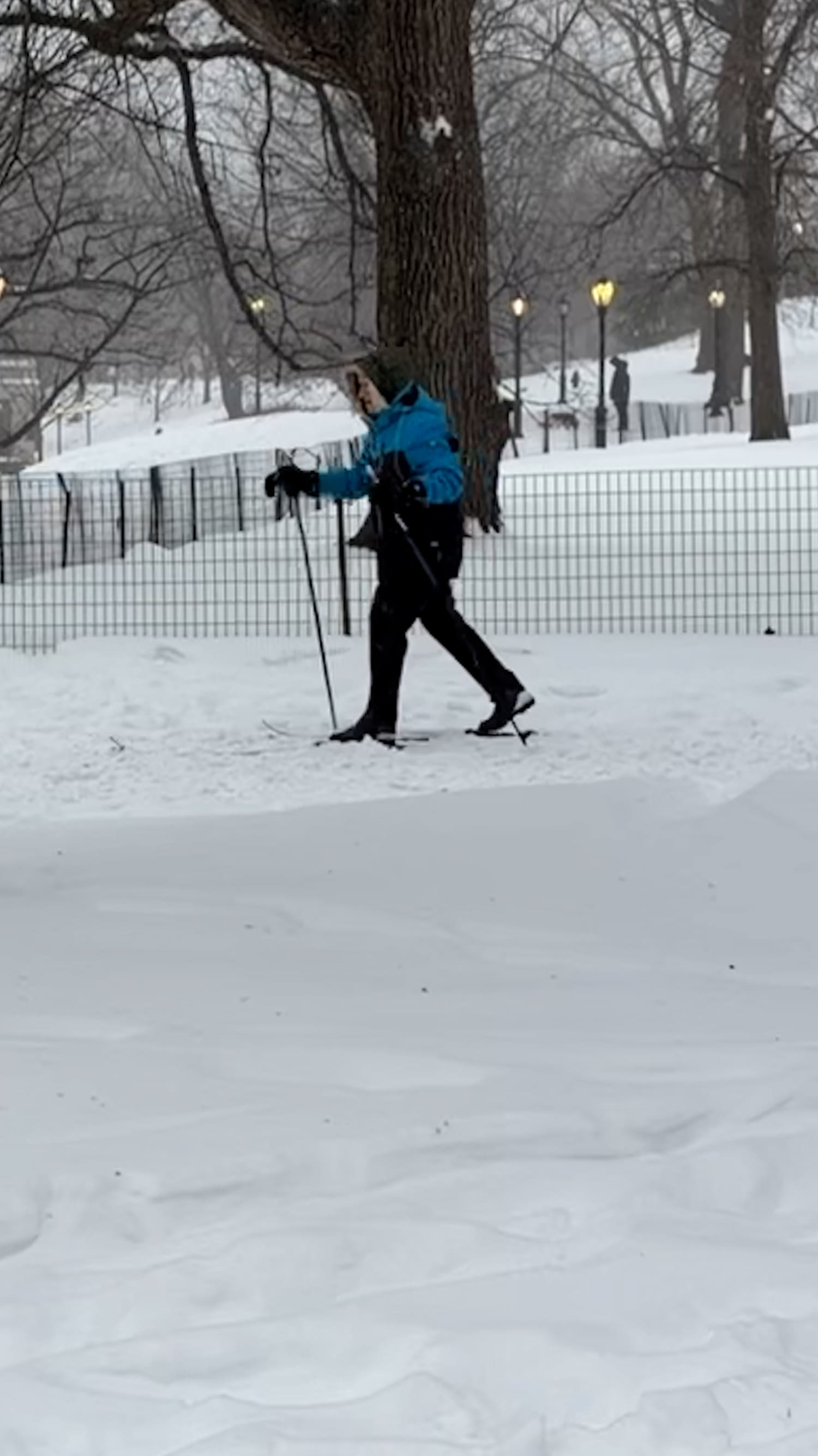 New Yorkers ski, snowshoe and sled in Central Park