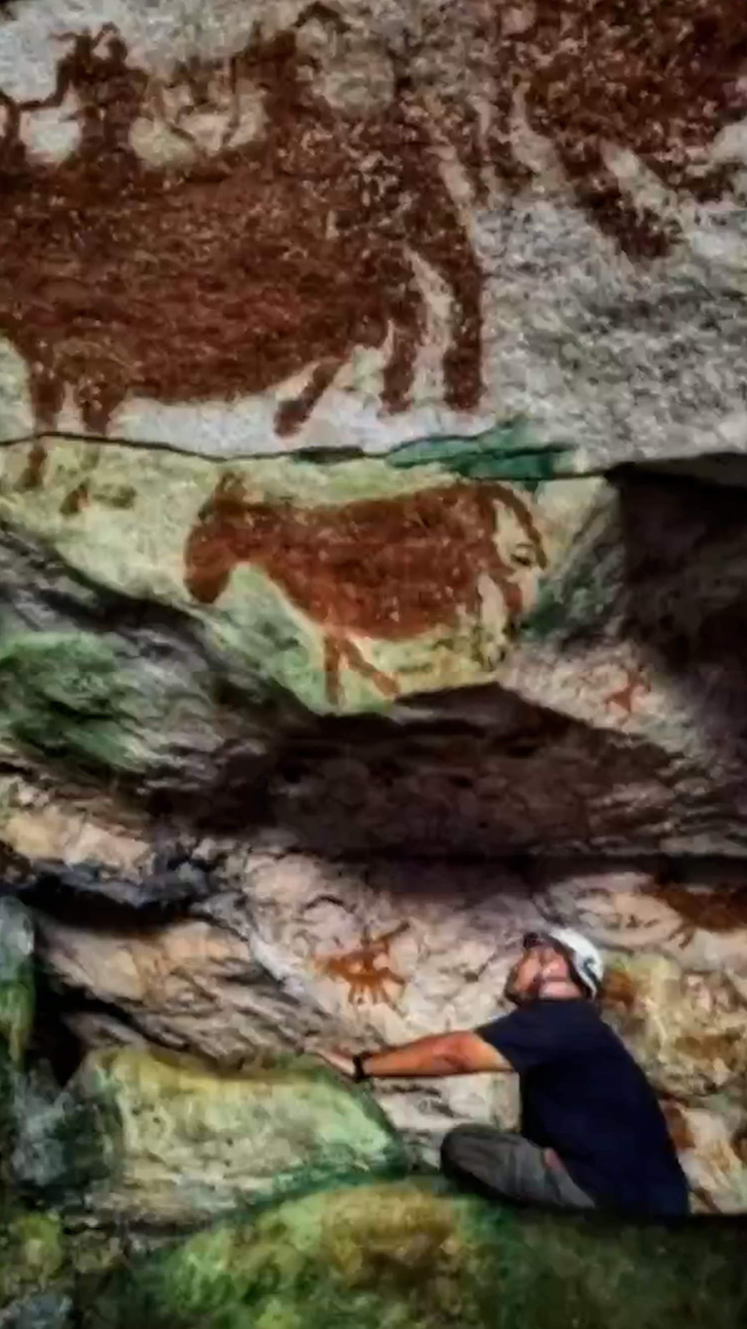 Oldest cave art and handprints discovered in Indonesia