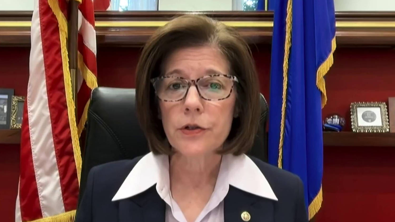 Senate Democrat says moderate candidates in swing states ‘the only way’ to regain the majority