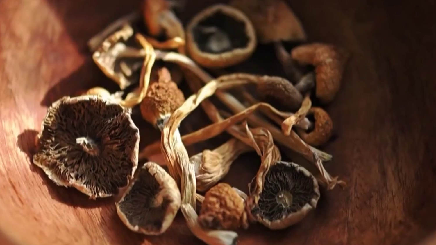 FDA grants quick review for 3 psychedelic drug trials