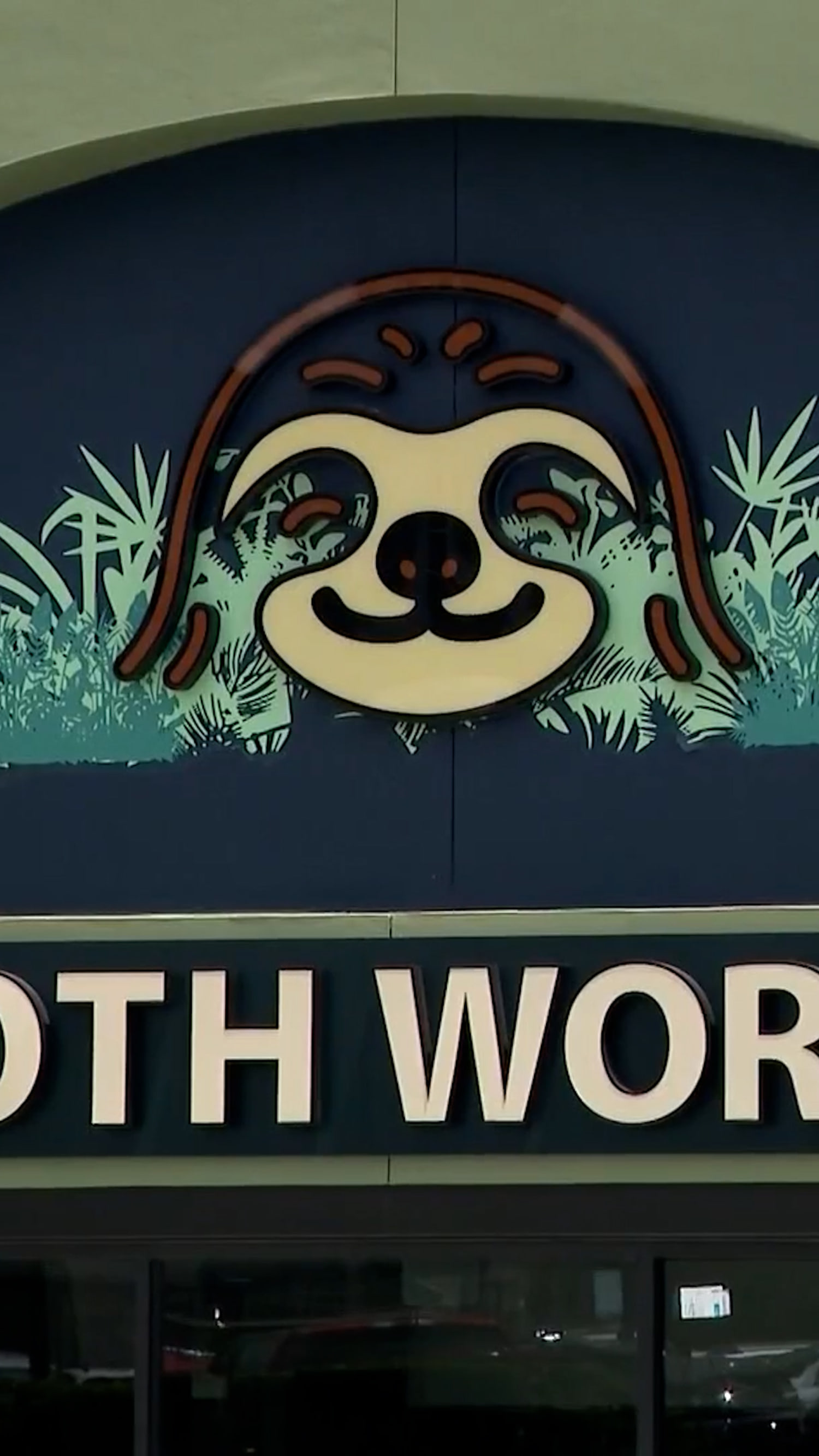 Calls to halt Sloth World after animals die at facility