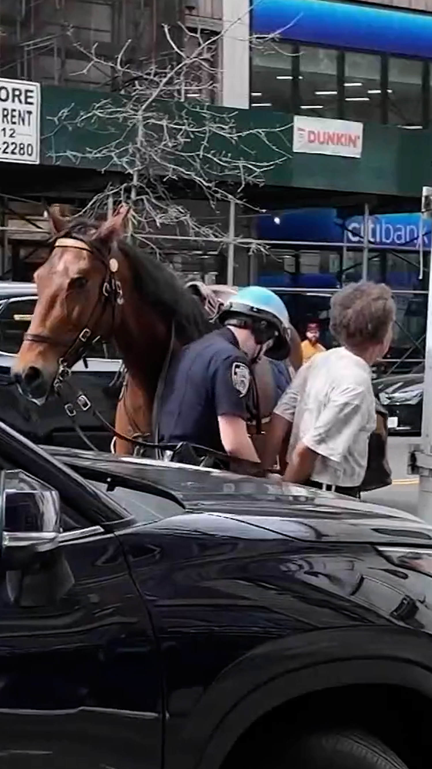 Police officer on horseback chases purse thief in New York