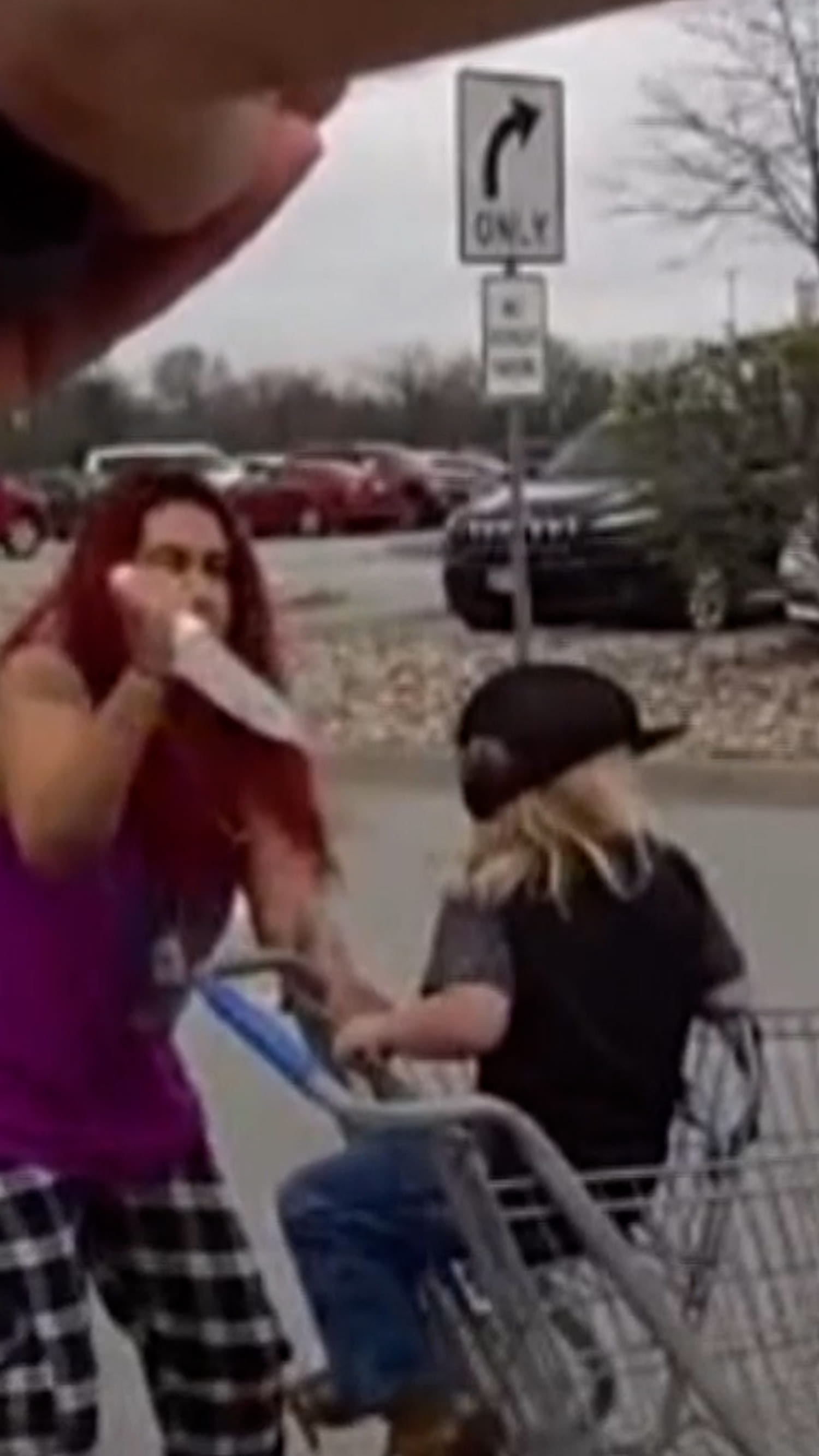 Photos show woman who allegedly tried to kidnap toddler