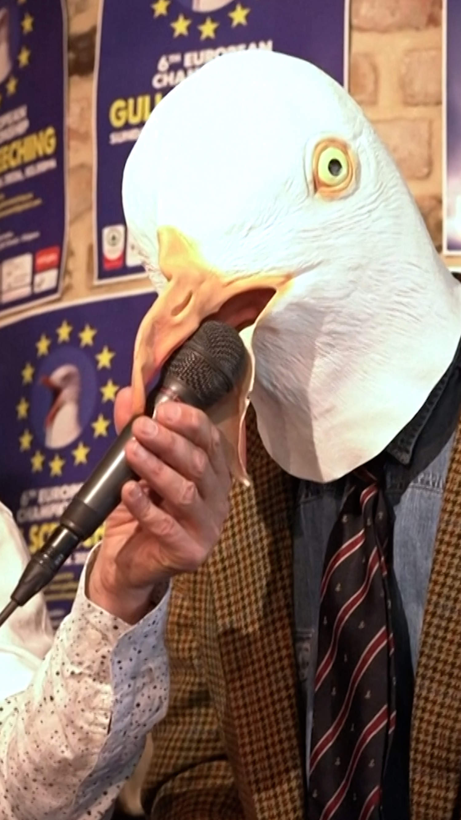 Seagull imitators compete for best screech