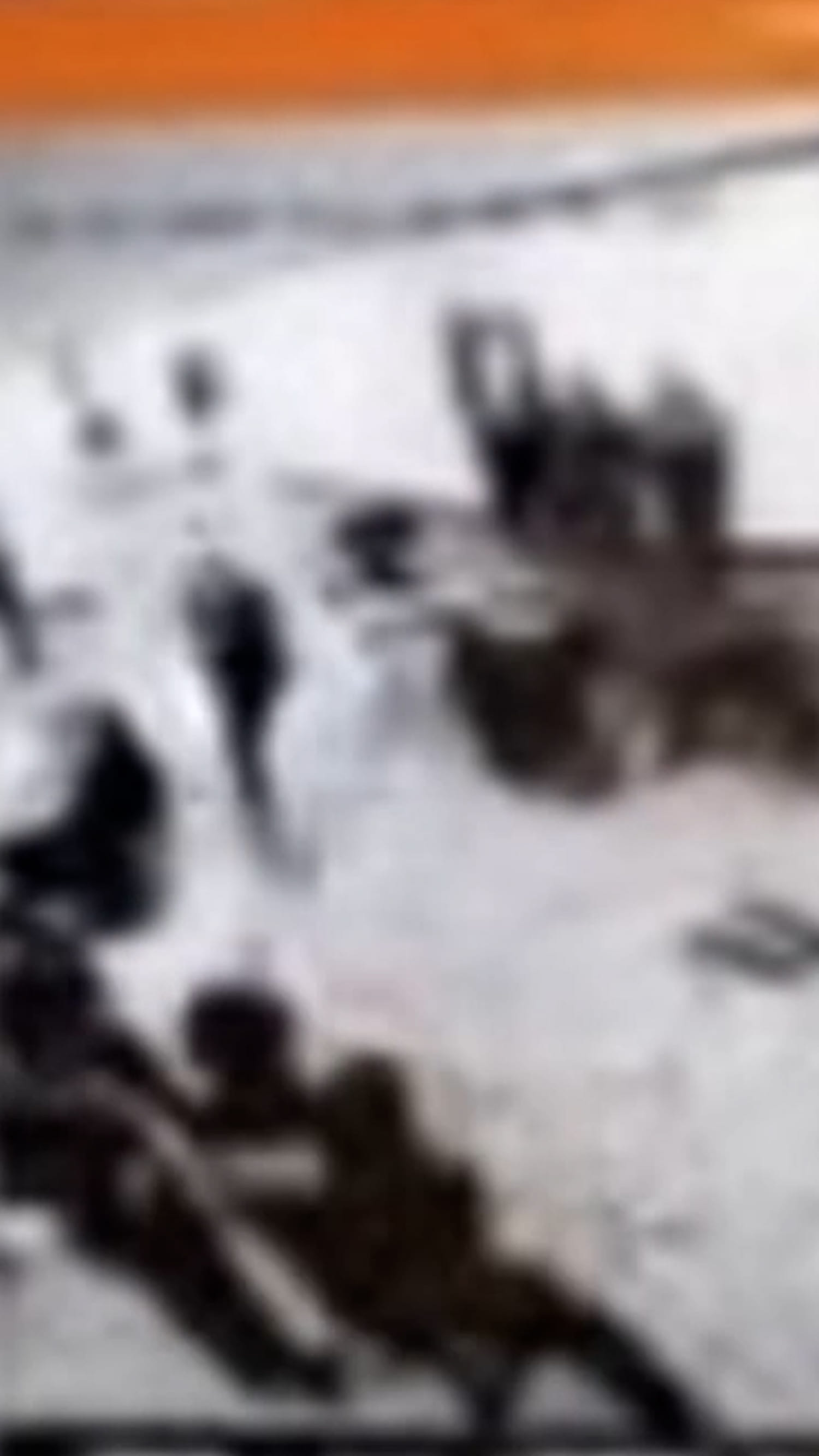 Trump posts video showing suspect rush through security