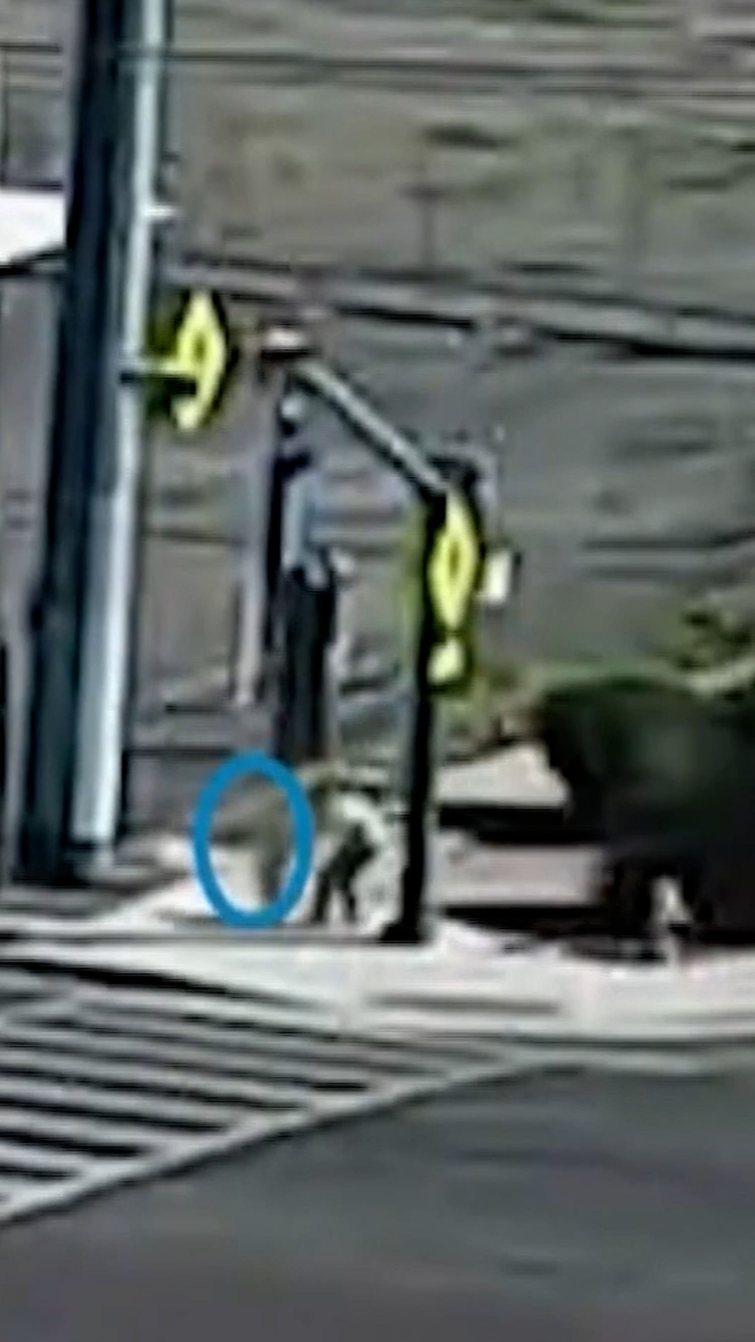 Video captures moment toddler was rescued from traffic