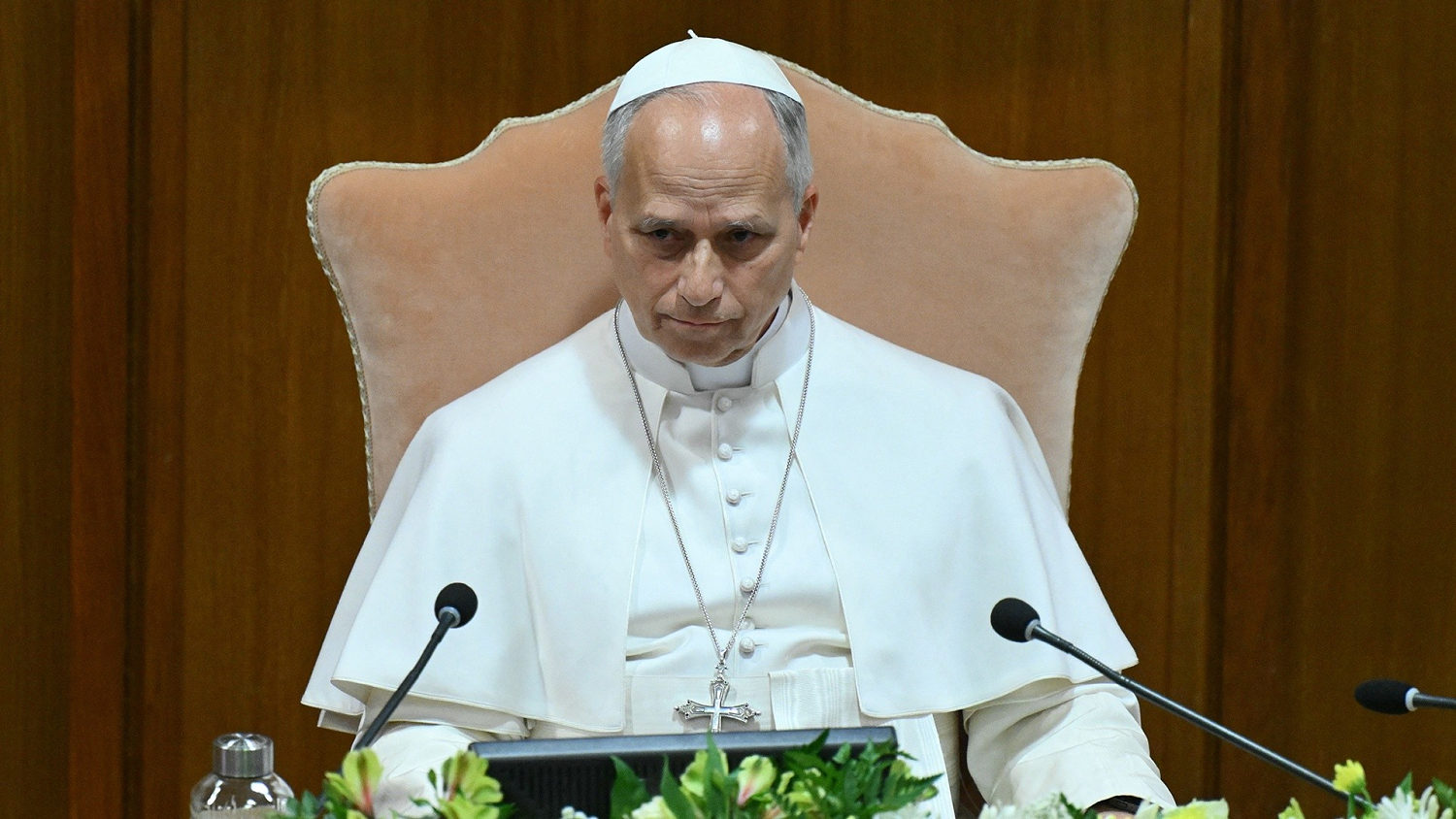 Pope Leo Xiv Warns Of Risks Of Ai, Calls For Robust Regulation - Beritaja