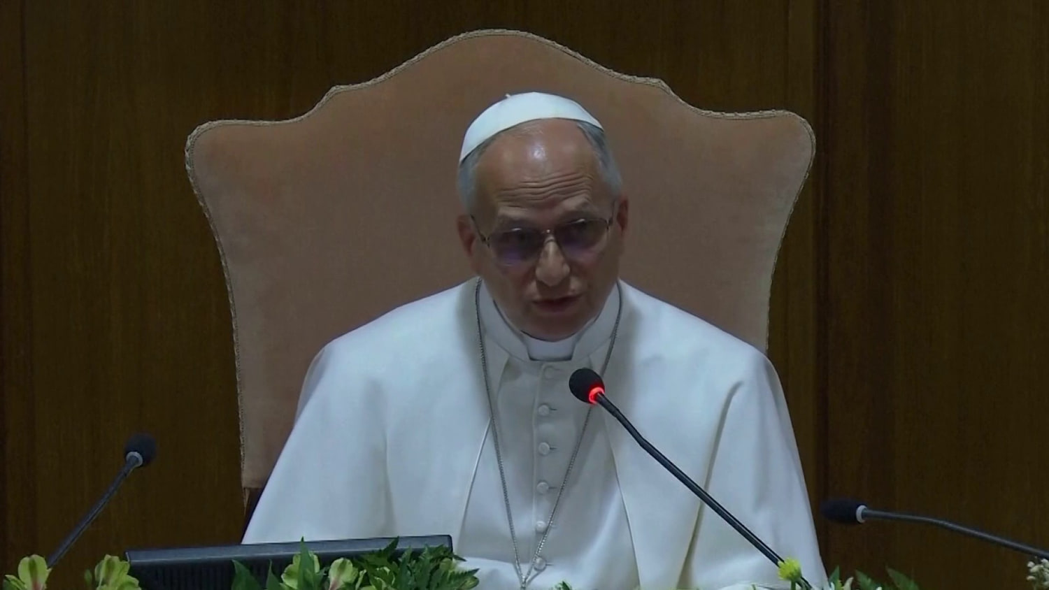 Pope Leo issues new warning on artificial intelligence
