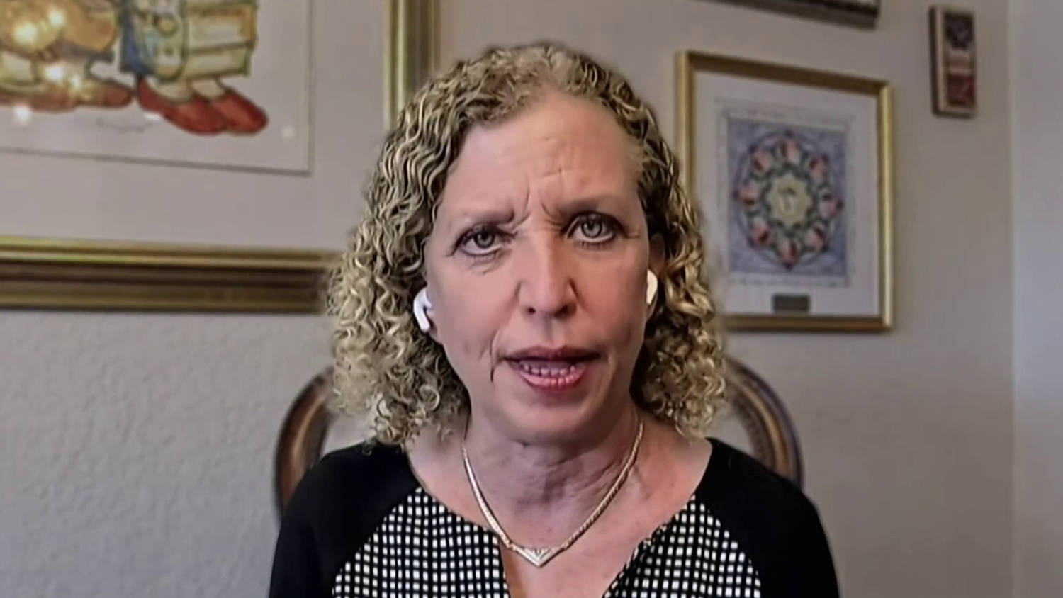 Debbie Wasserman Schultz defends her run in a majority-minority district as some Democrats push back