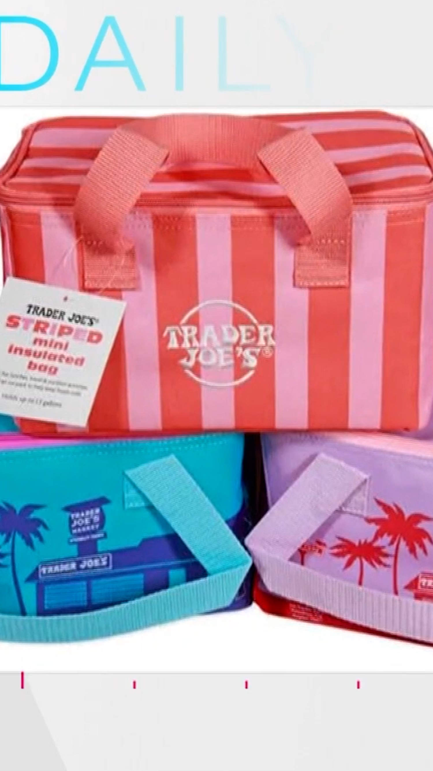 Trader Joe’s unveils new insulated mini tote bag
