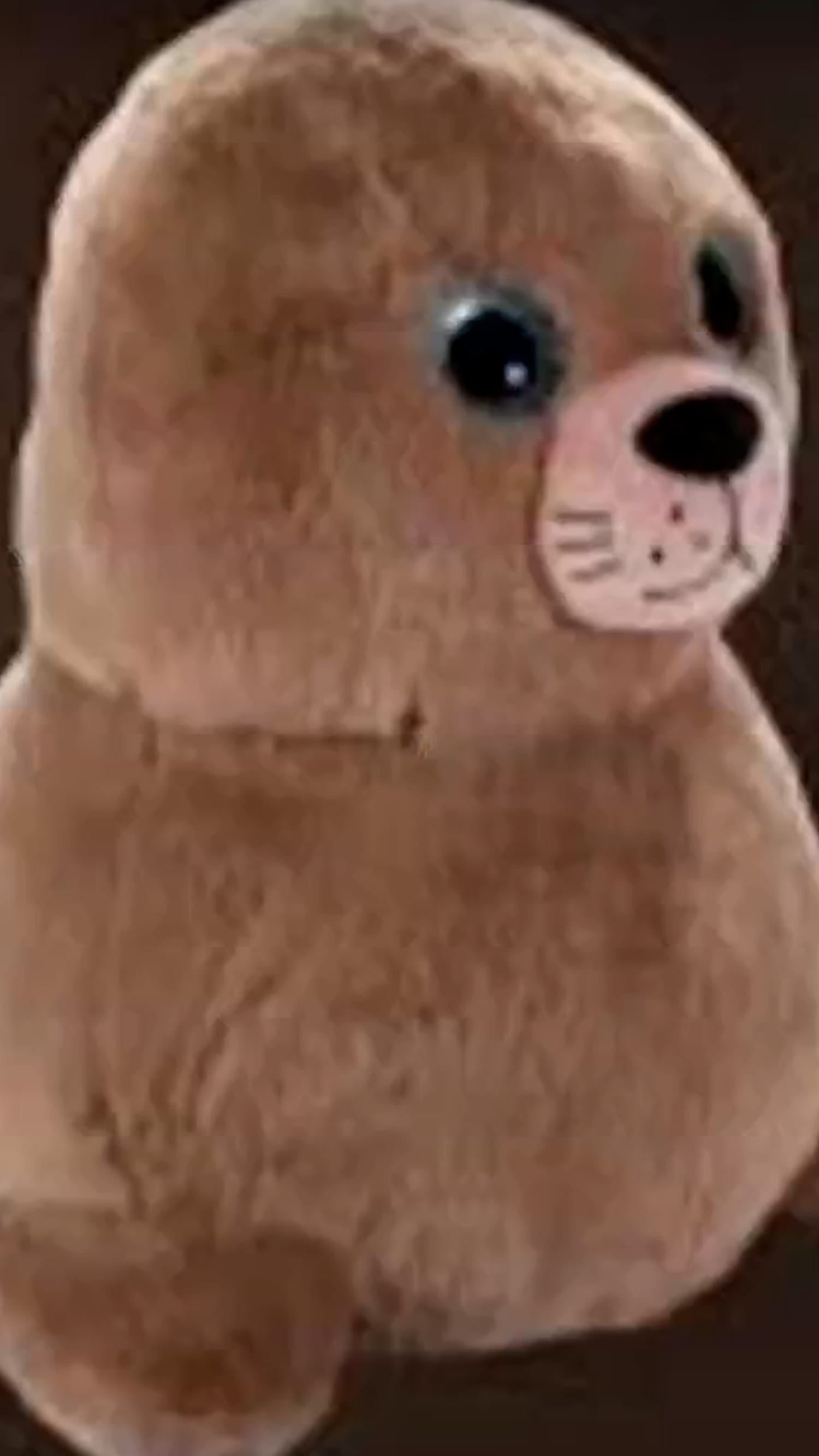Viral sea lion ‘Chonkers’ gets lookalike stuffed animal