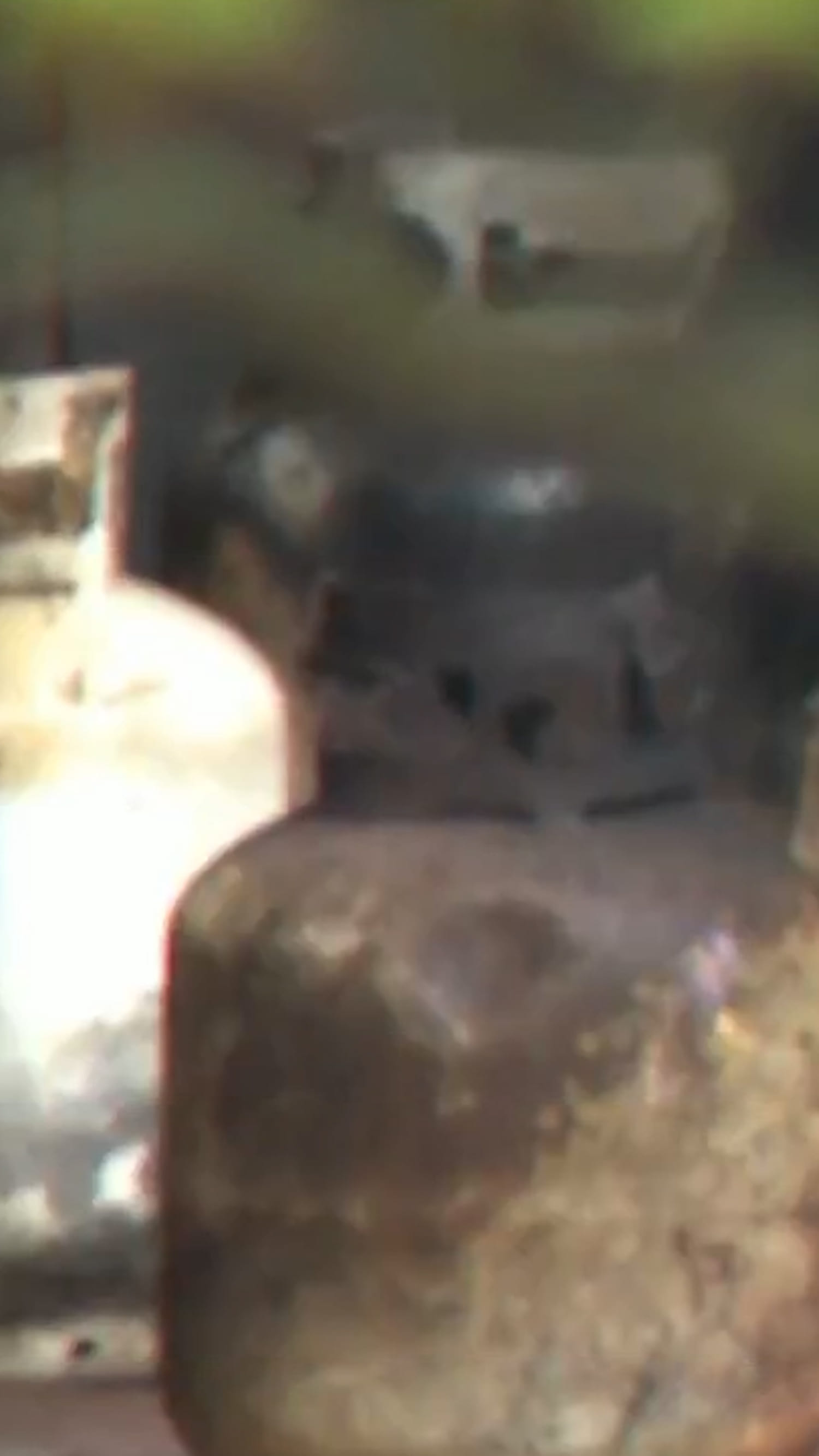 Man drives car full of explosives into athletic club