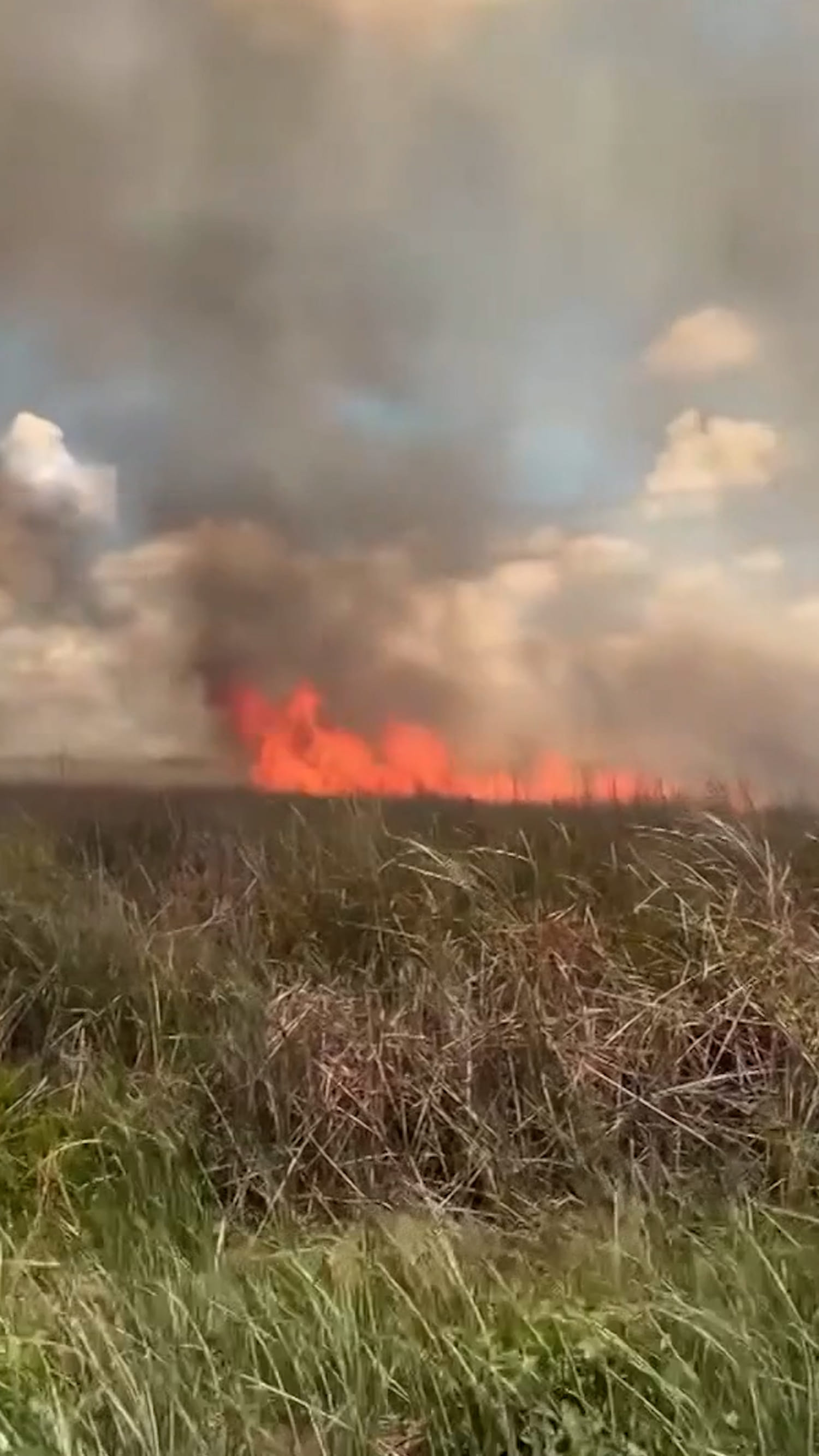 Wildfire rips through Florida Everglades