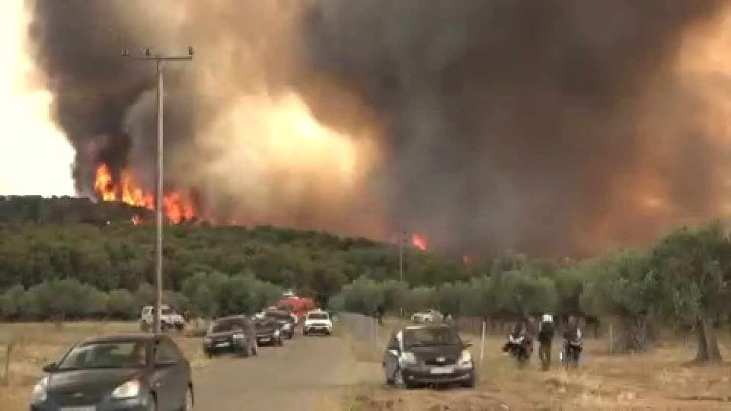 Firefighters battle blaze in France's Fontainebleau forest amid deadly fires in Europe