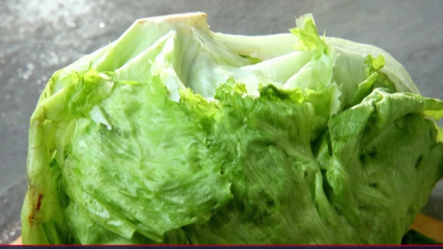 Iceberg lettuce eyed in parasite outbreak